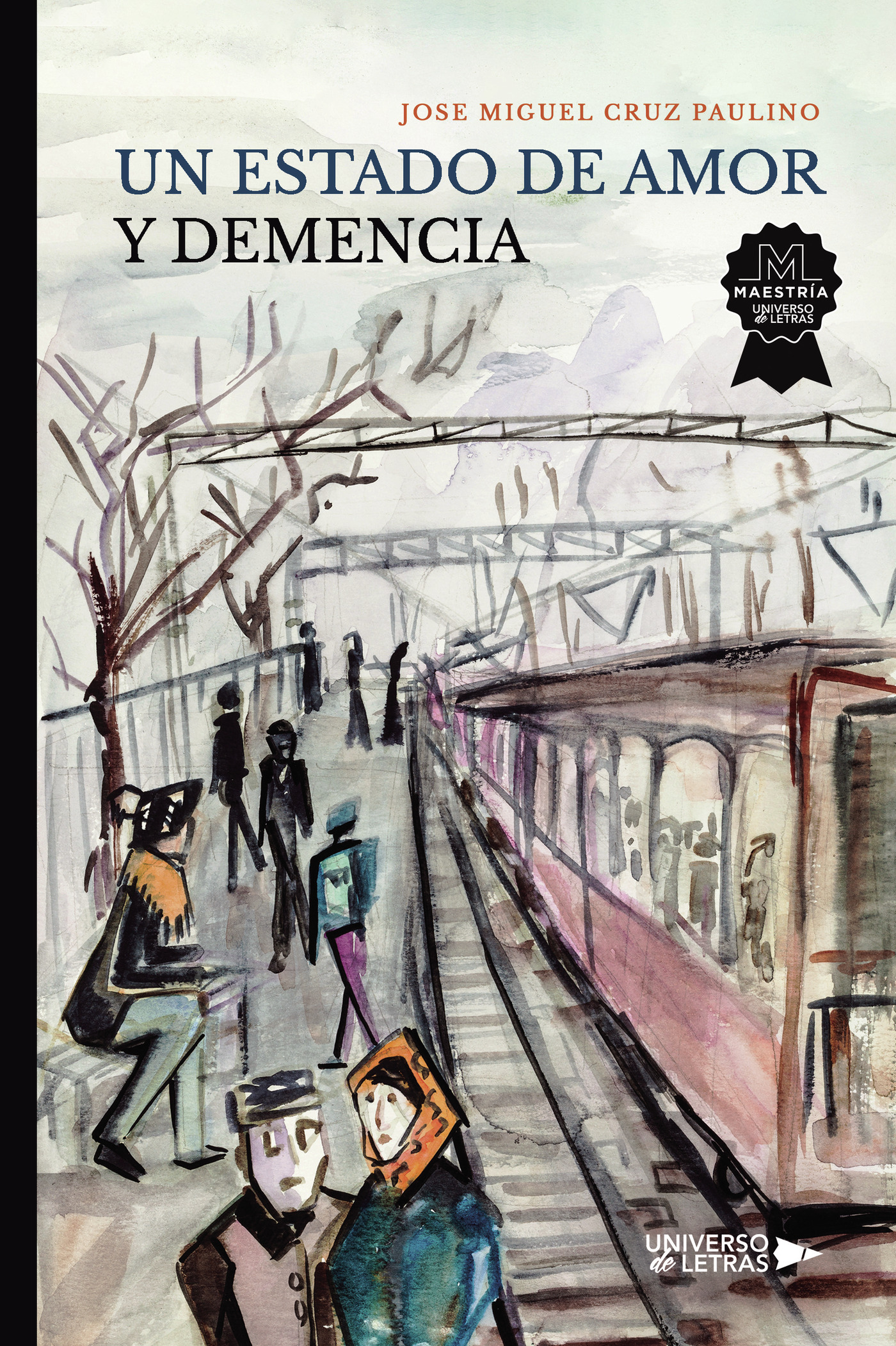 Portada de Un Estado de Amor y Demencia