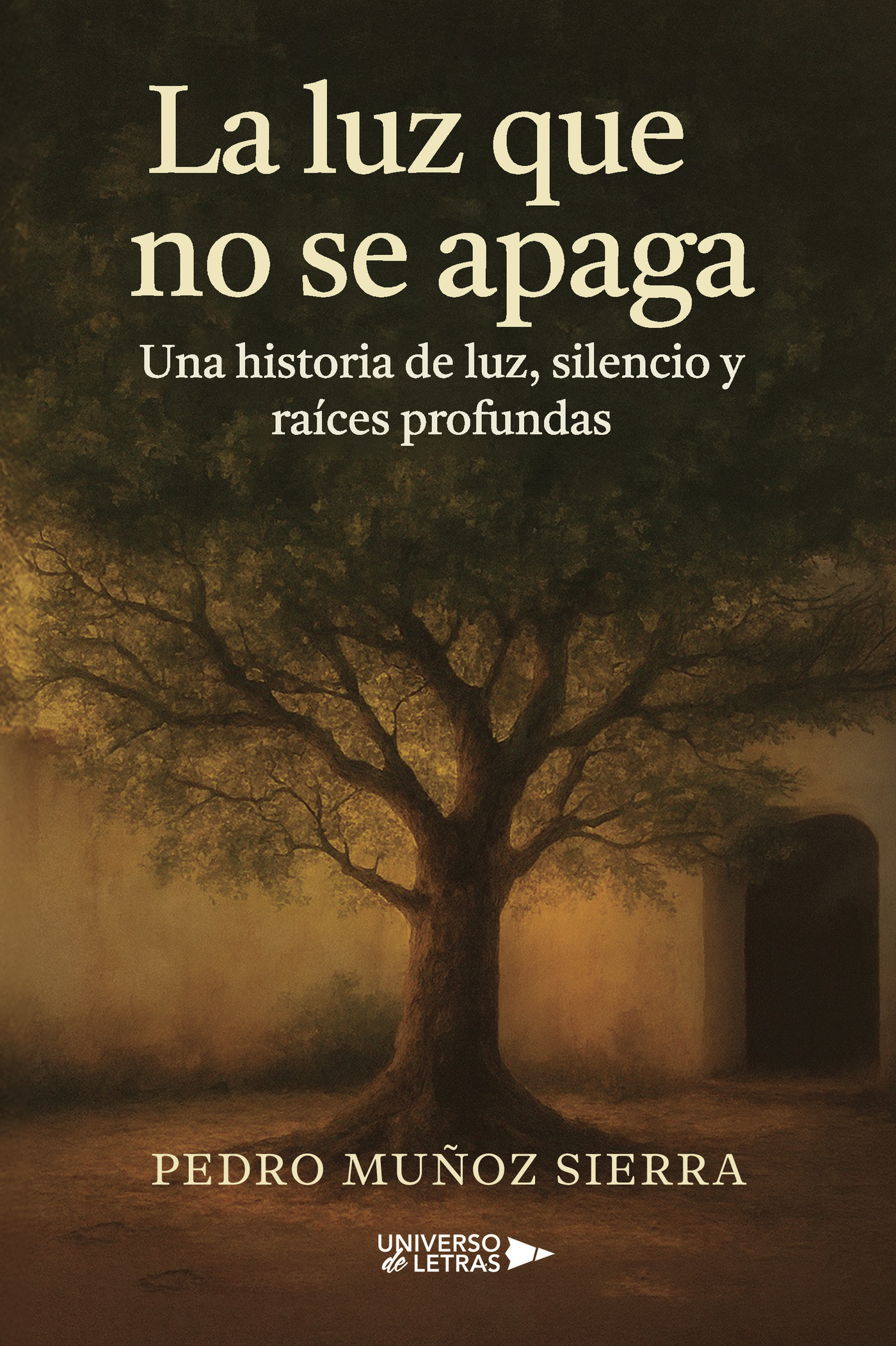 Portada de La luz que no se apaga