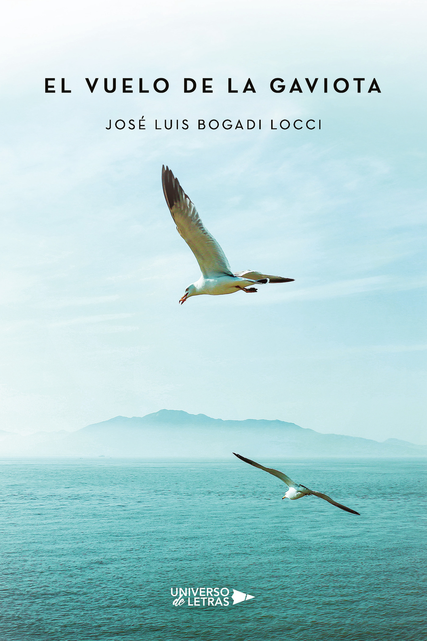 Portada de El vuelo de la gaviota