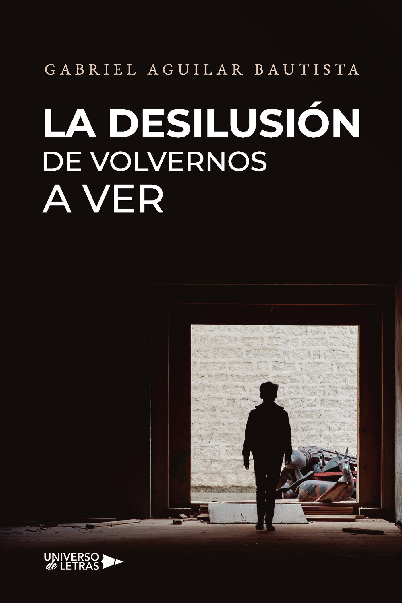 Portada de La desilusión de volvernos a ver