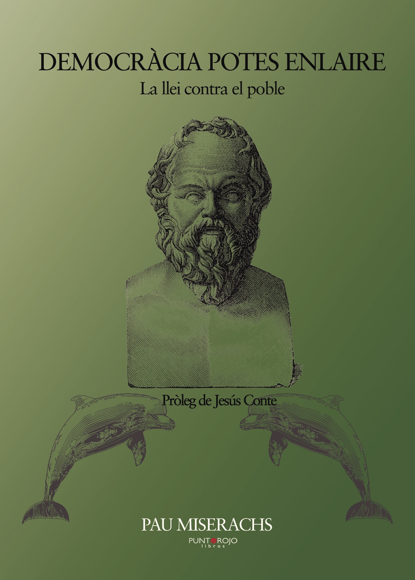 Portada de Democràcia potes enlaire