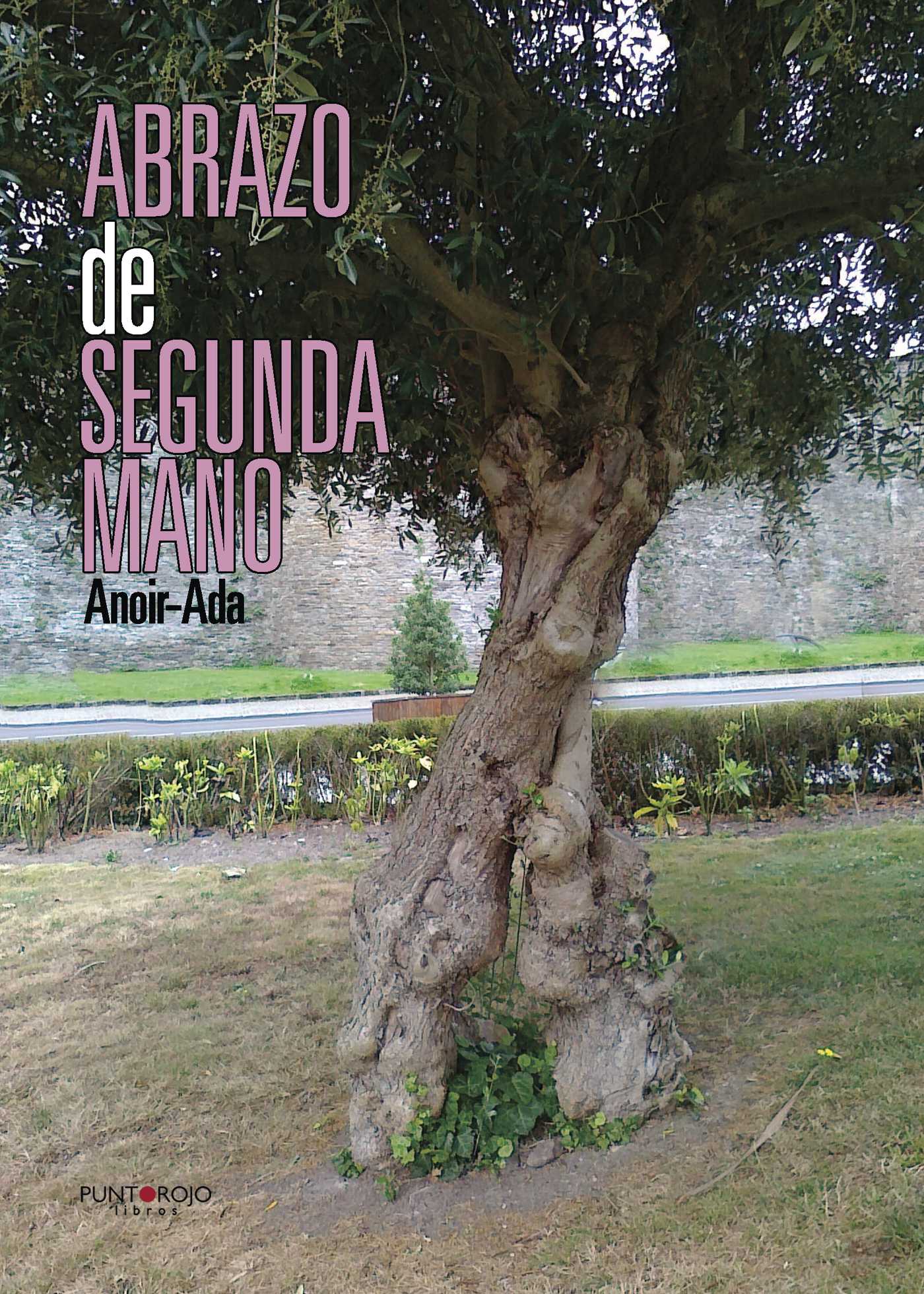 Portada de Abrazo de segunda mano · Ada Rodríguez Gutiérrez