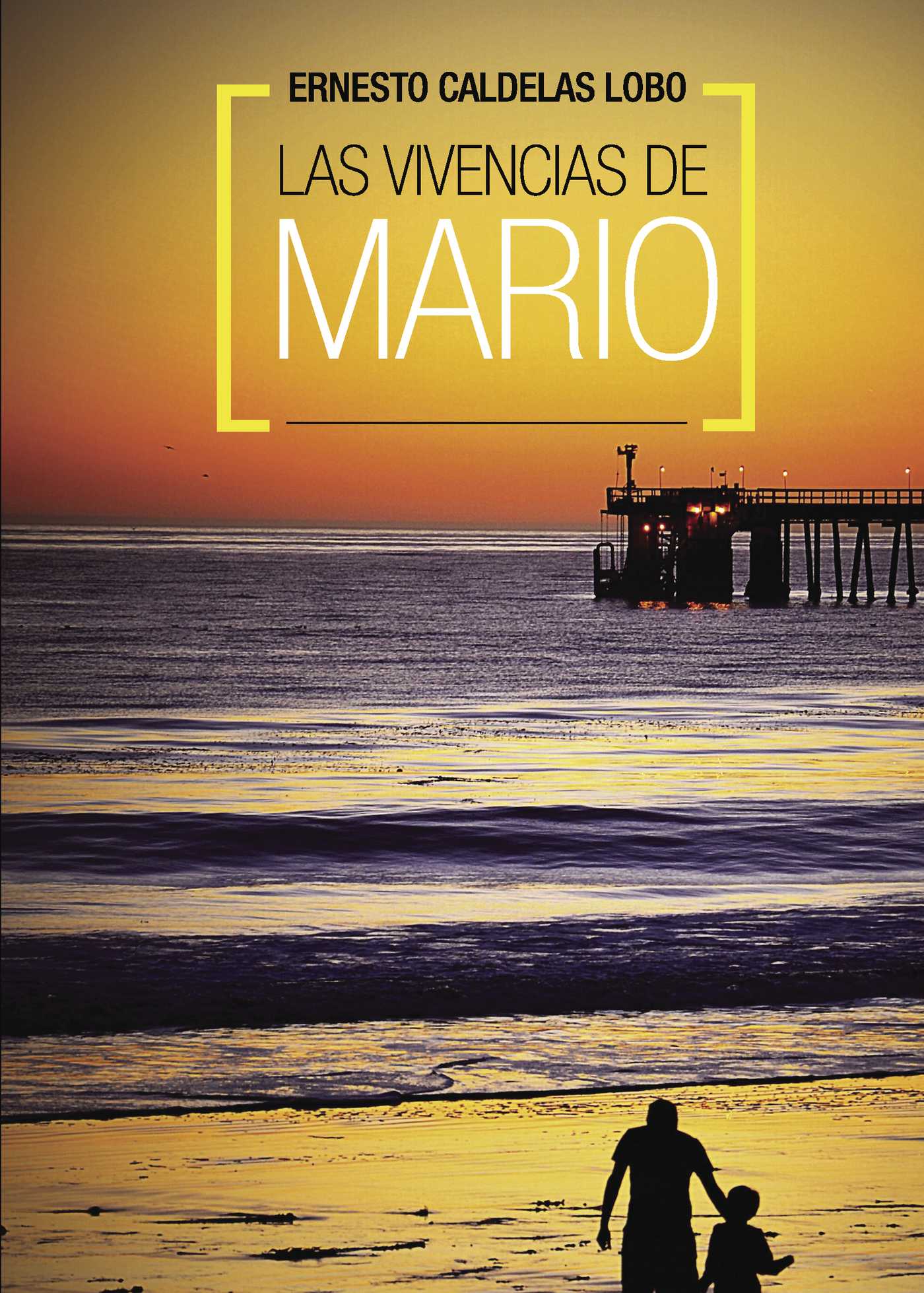Portada de Las vivencias de Mario