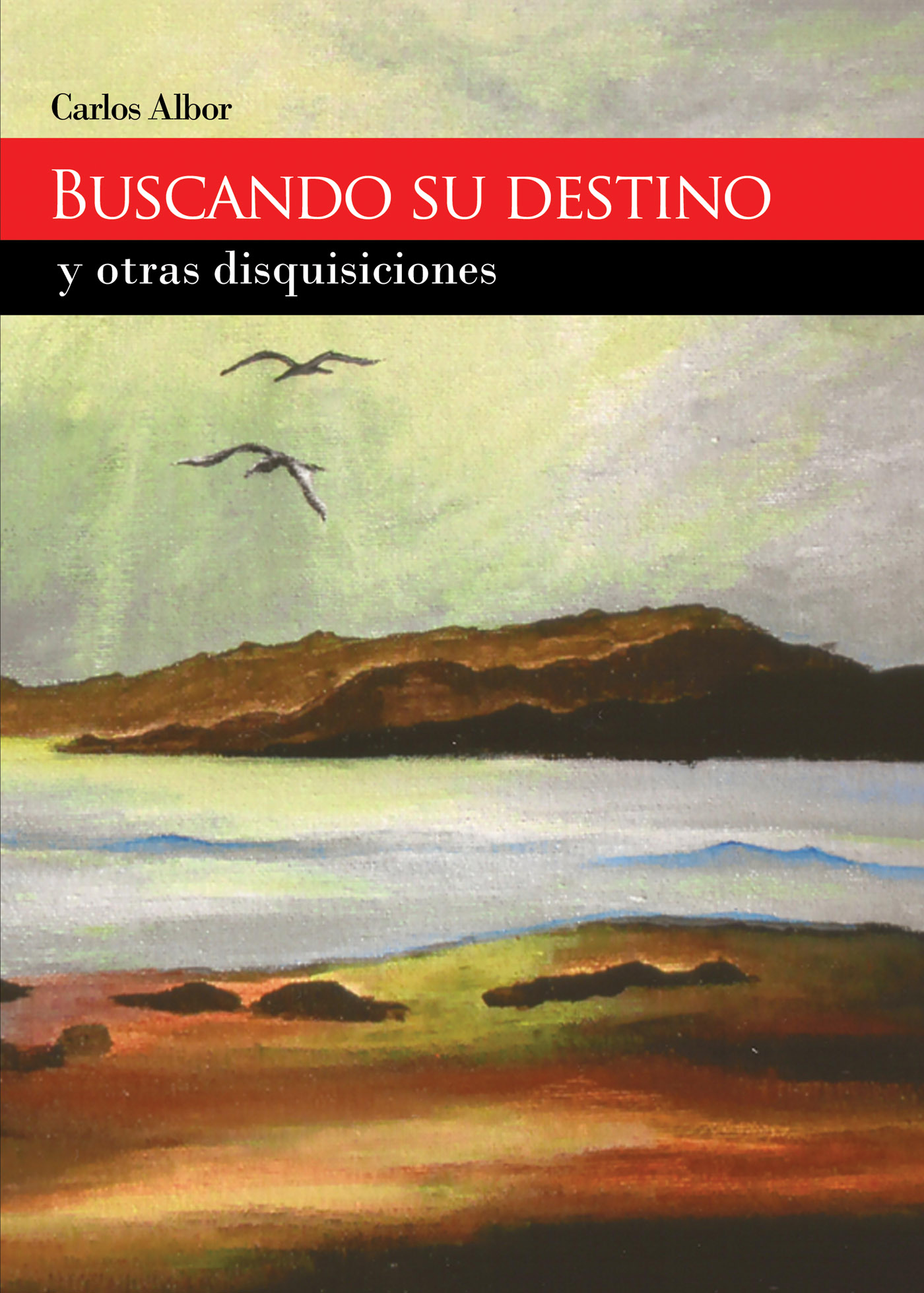 Portada de Buscando su destino y otras disquisiciones