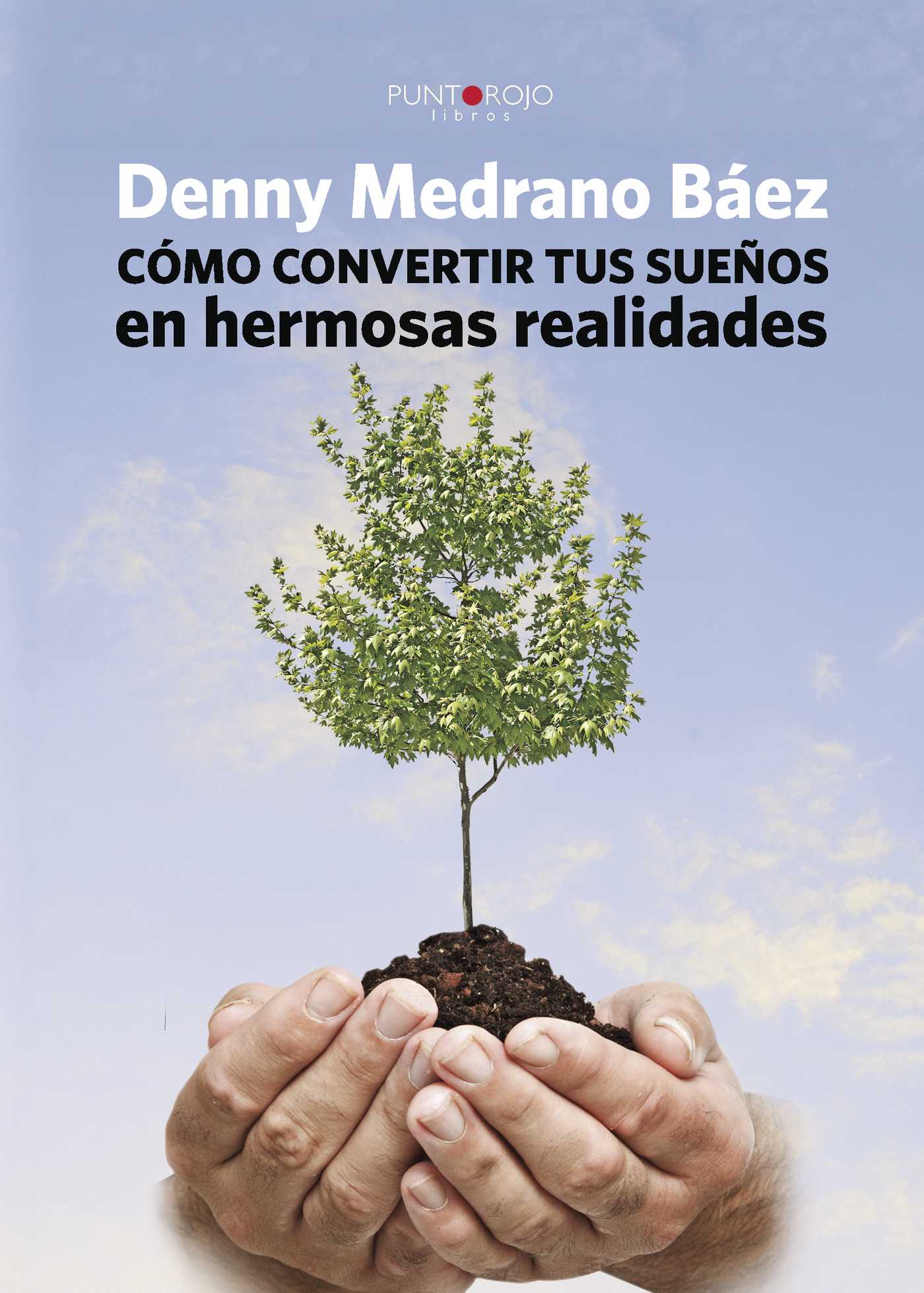 Portada de Cómo convertir tus sueños en hermosas realidades