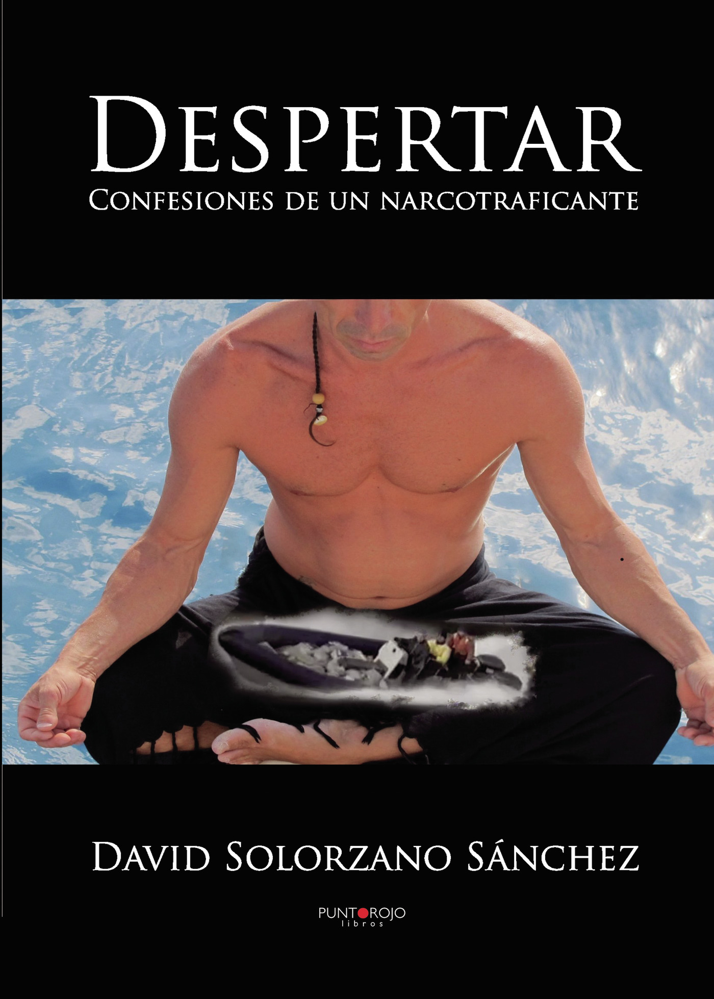 Portada de Despertar · David Solorzano Sánchez
