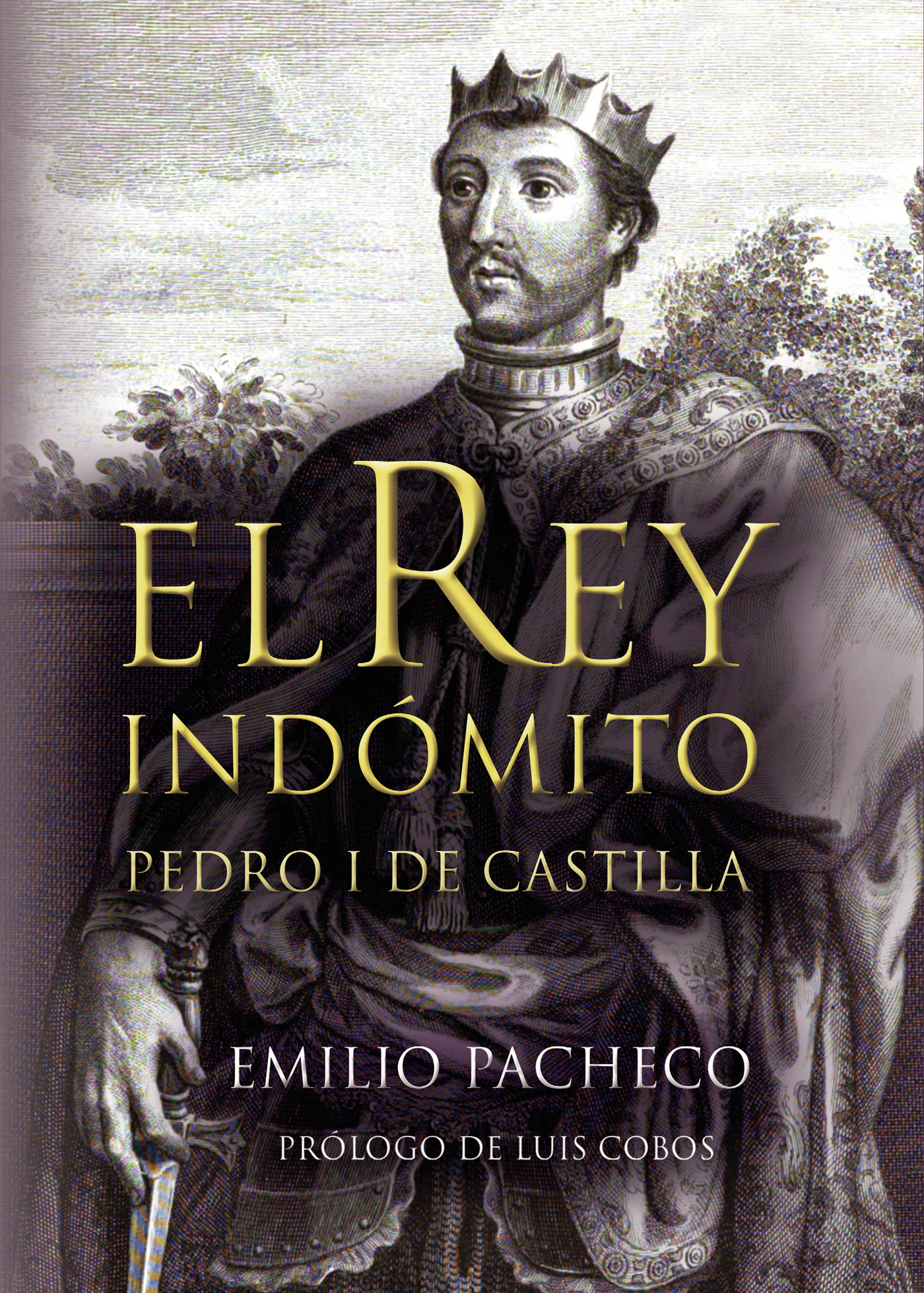 Portada de El rey indómito. Pedro I de Castilla