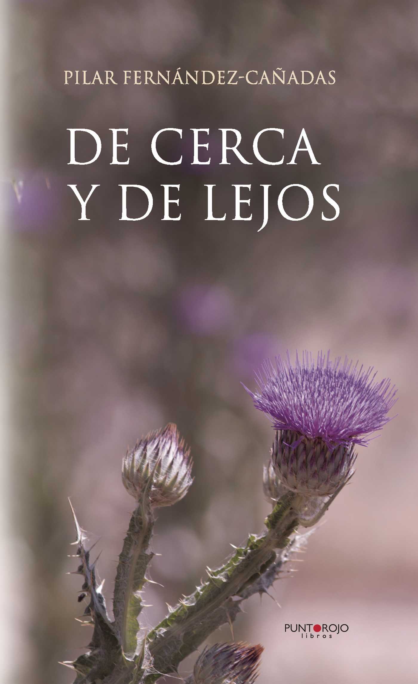 Portada de De cerca y de lejos · Pilar Fernandez Cañadas