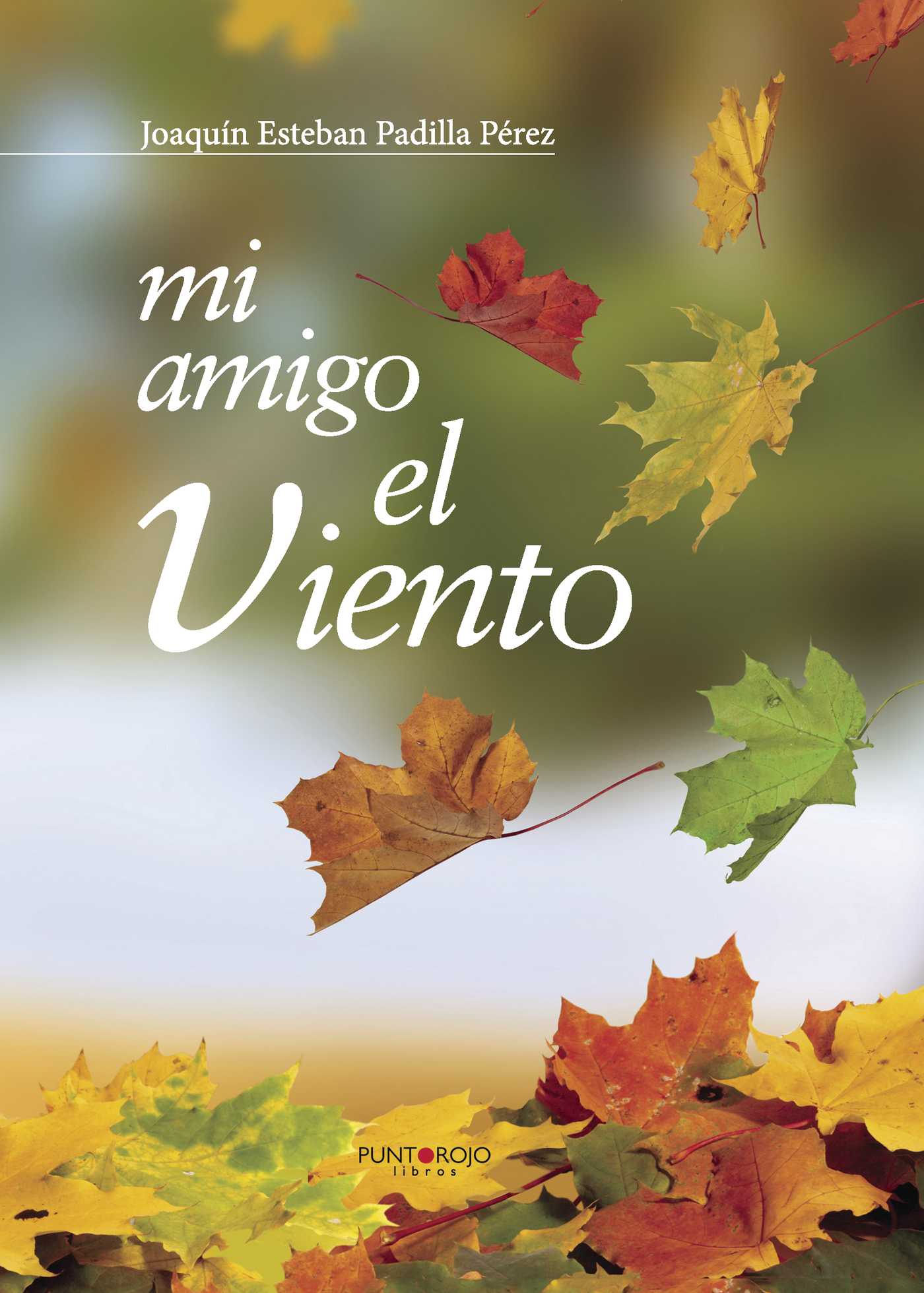 Portada de Mi amigo el Viento