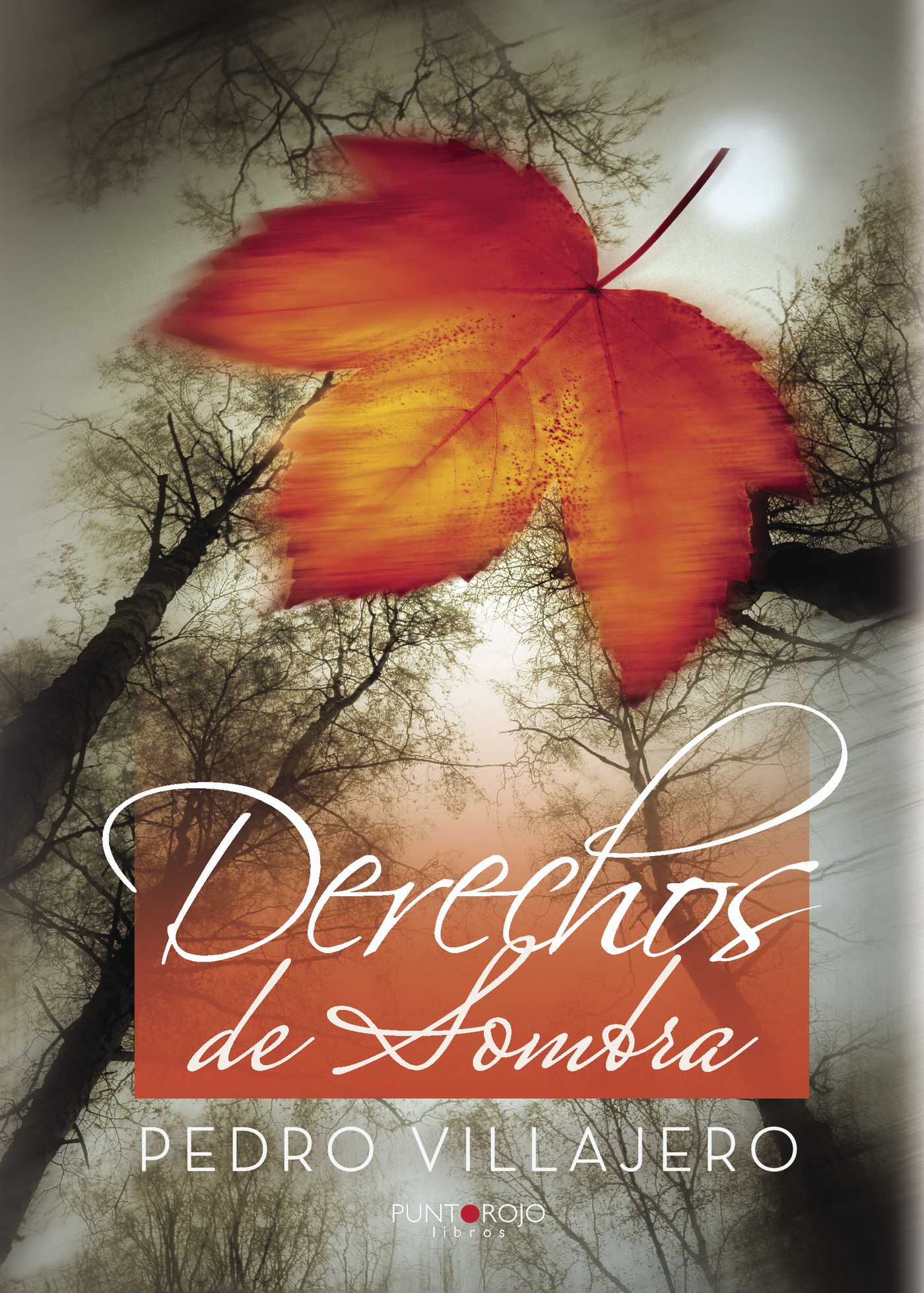 Portada de Derechos de Sombra