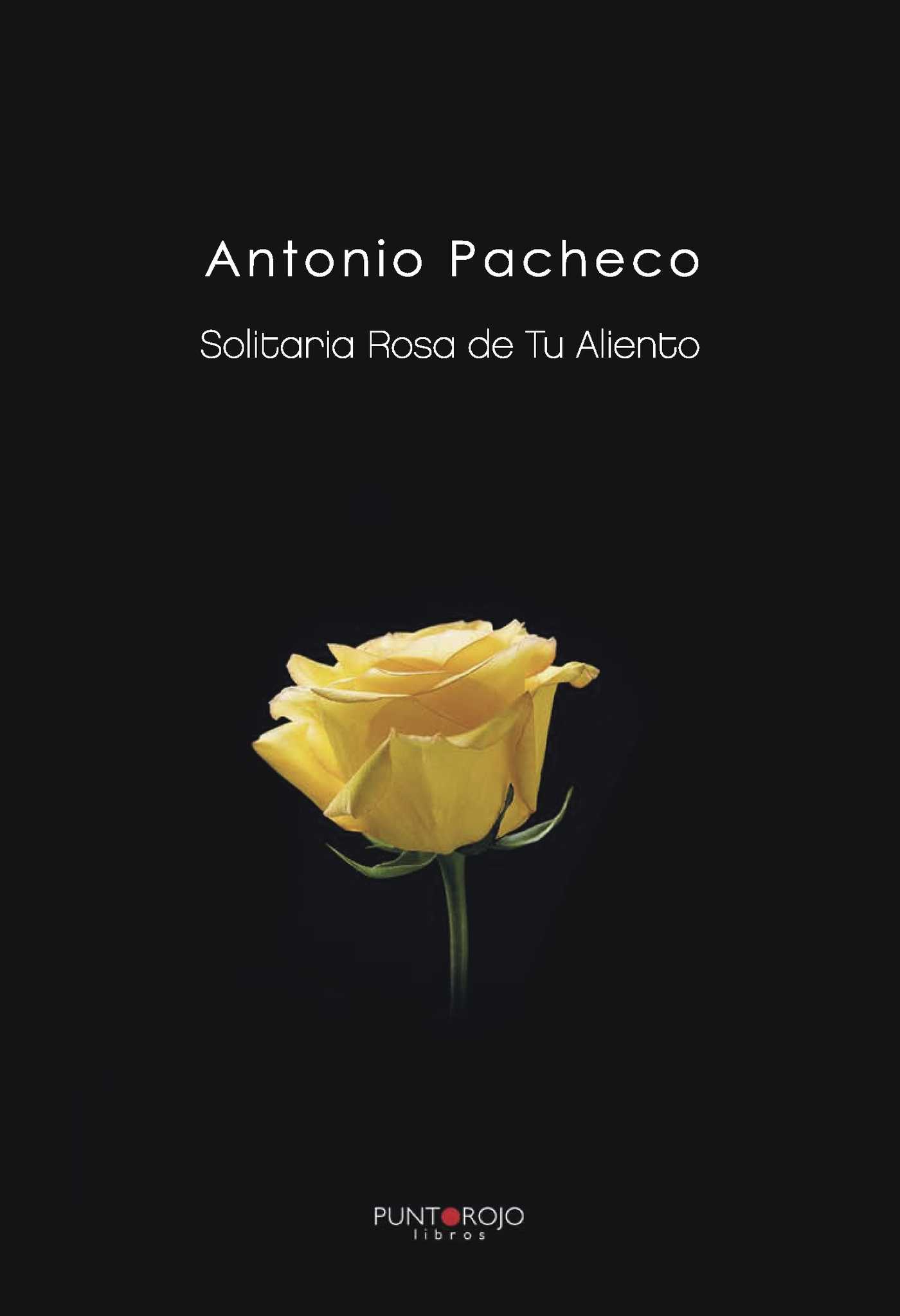 Portada de Solitaria Rosa de Tu Aliento · Antonio Pacheco