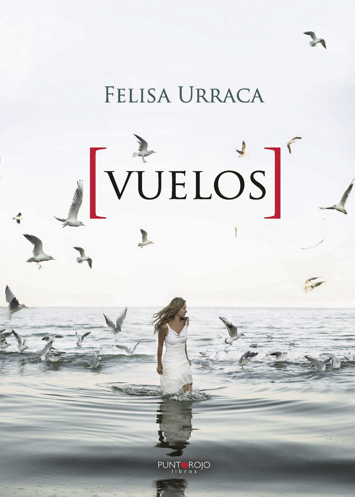 Portada de Vuelos
