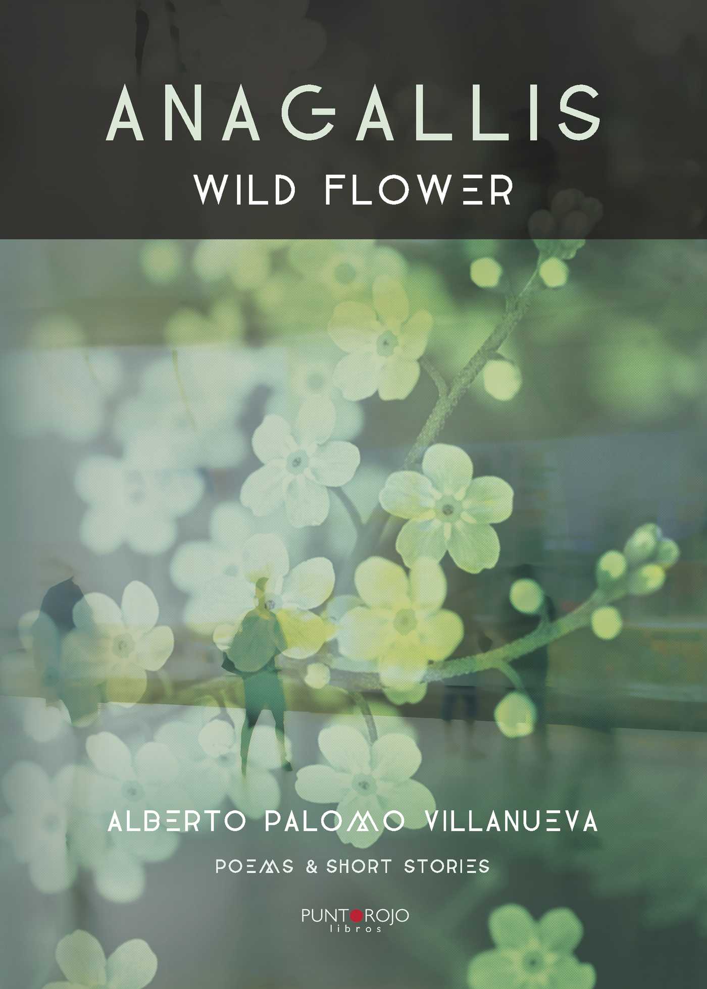 Portada de Anagallis. Wild flower