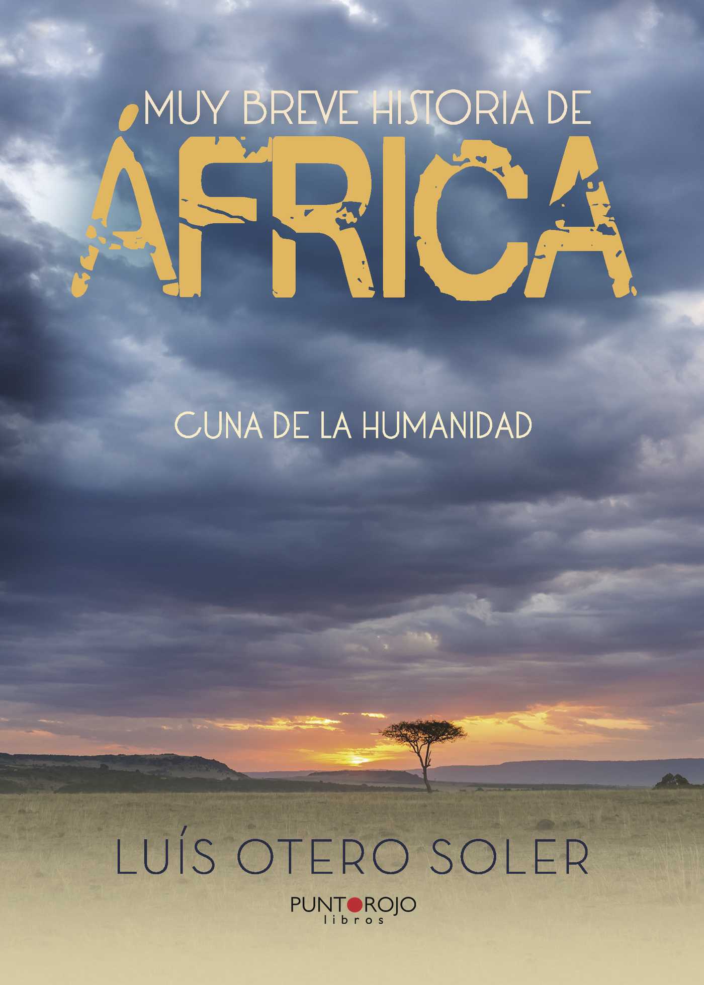 Portada de Muy breve historia de África