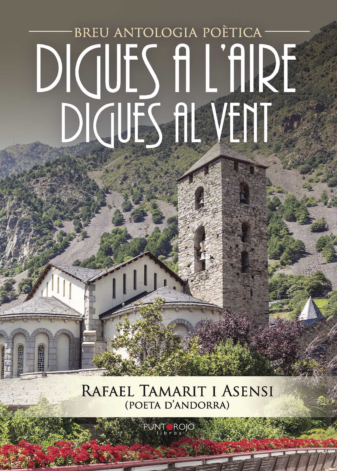Portada de Digues a laire, digues al vent