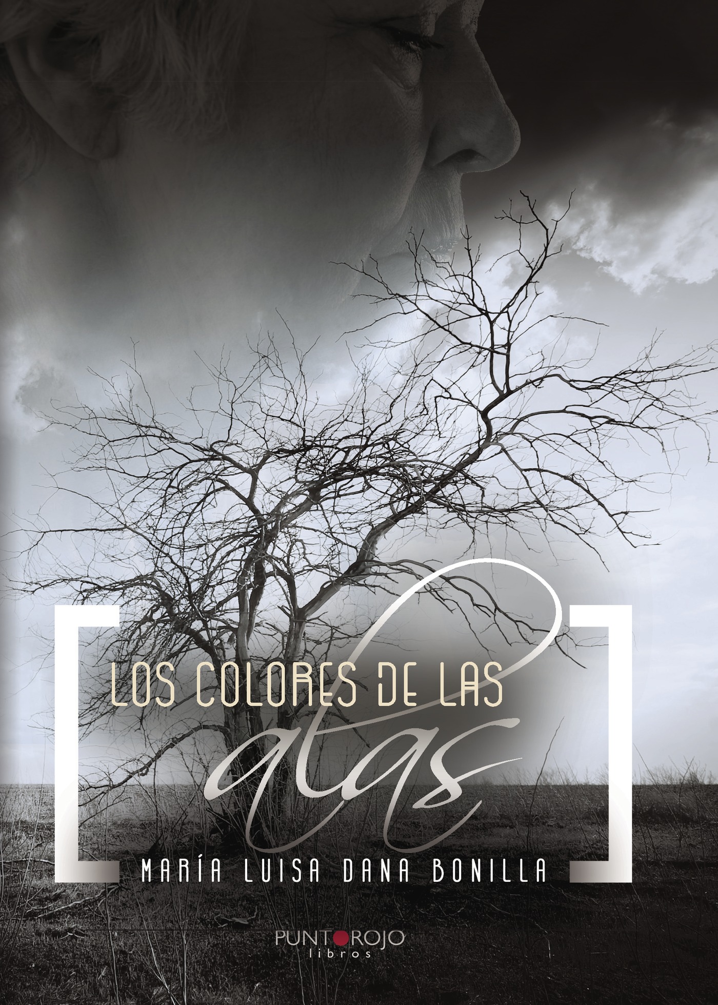 Portada de Los Colores de las Alas · María Luisa Dana Bonilla