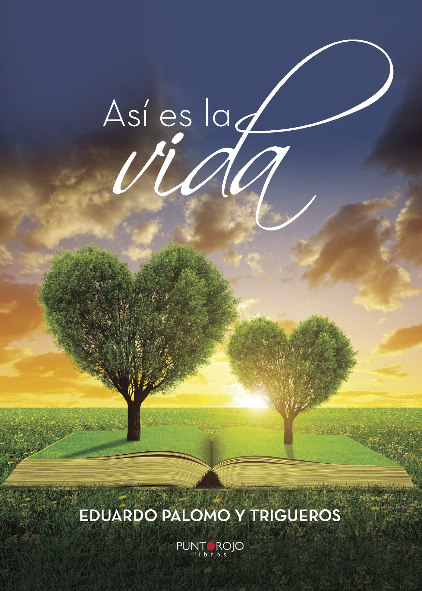 Portada de Así es la vida