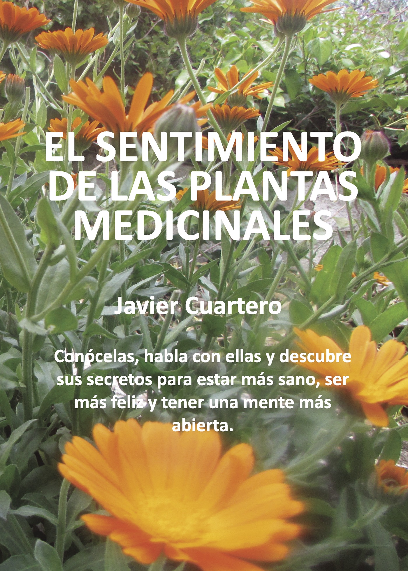 Portada de El sentimiento de las plantas medicinales