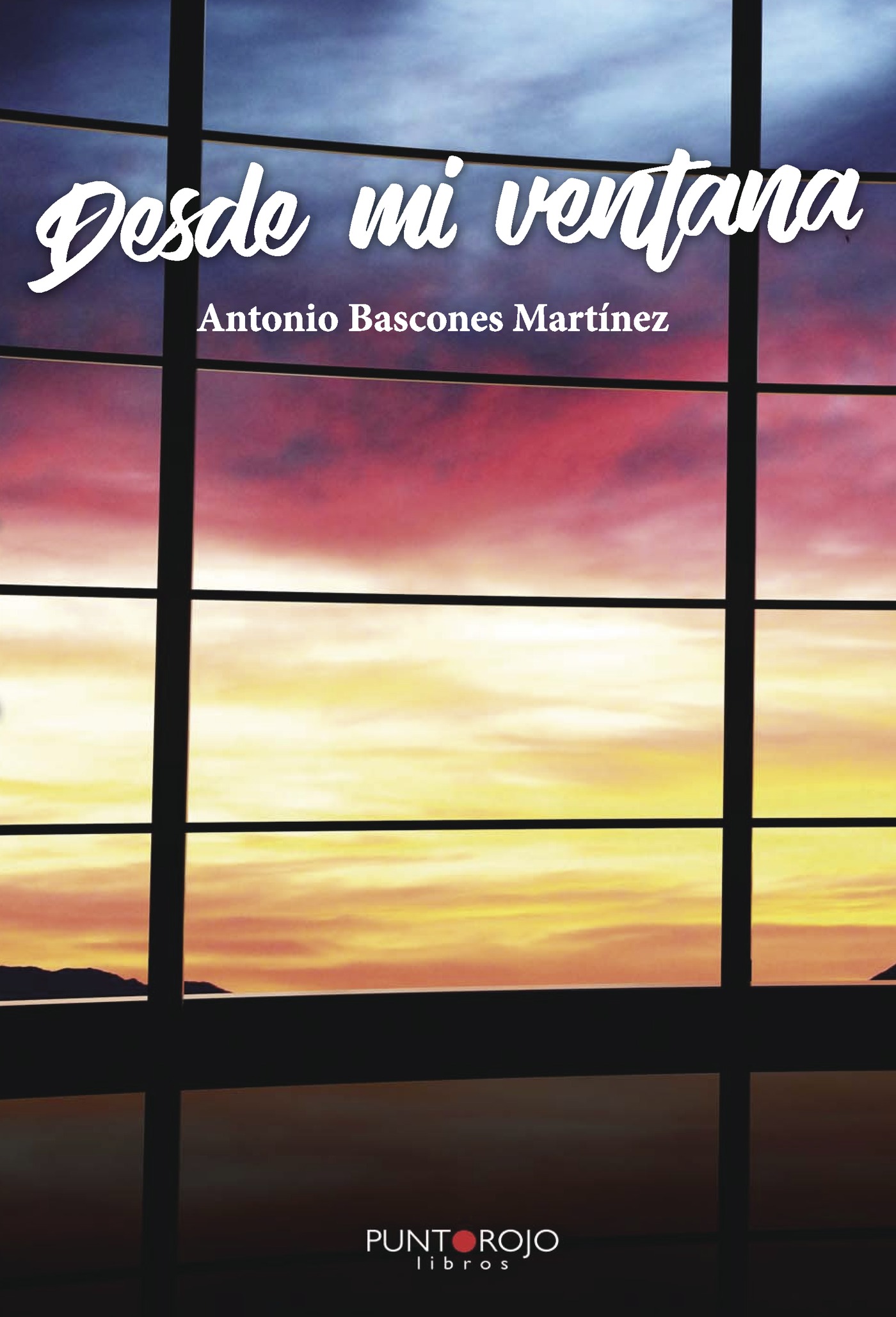 Portada de Desde mi ventana
