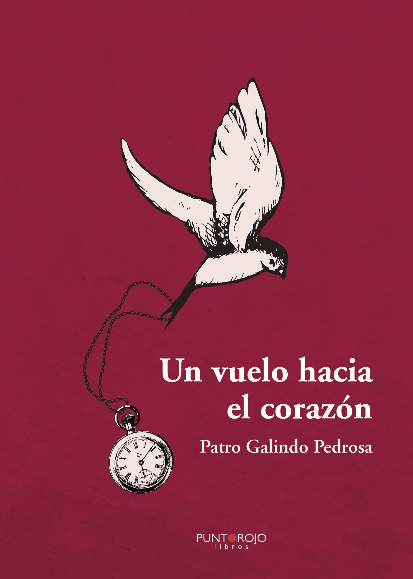 Portada de Un vuelo hacia el Corazón