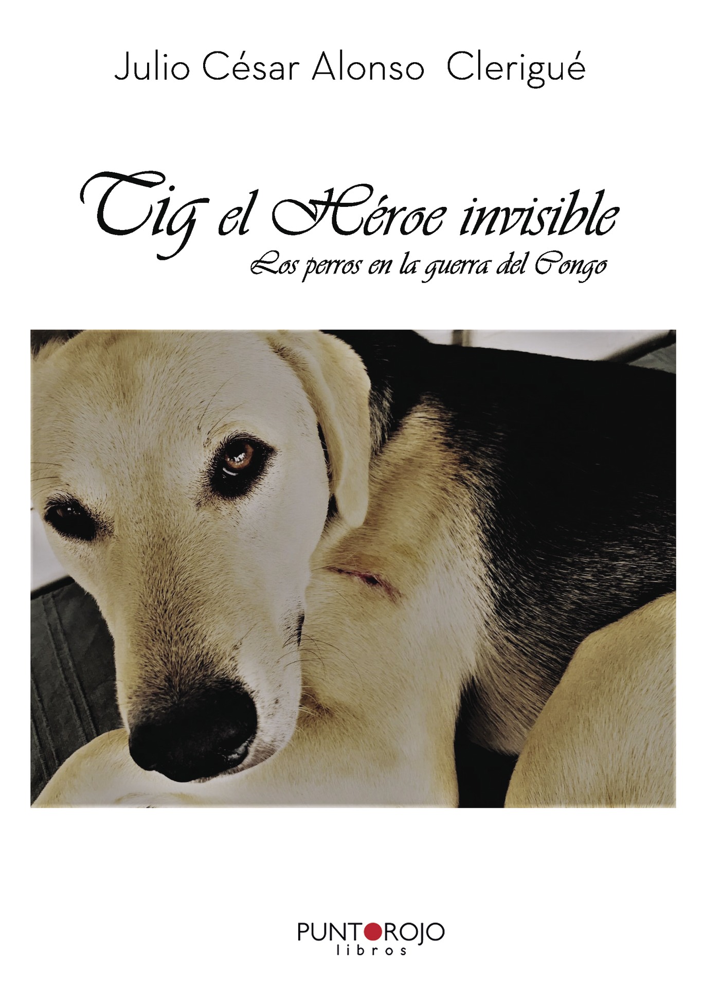 Portada de Tig, el Héroe invisible · Julio César Alonso Clerigué
