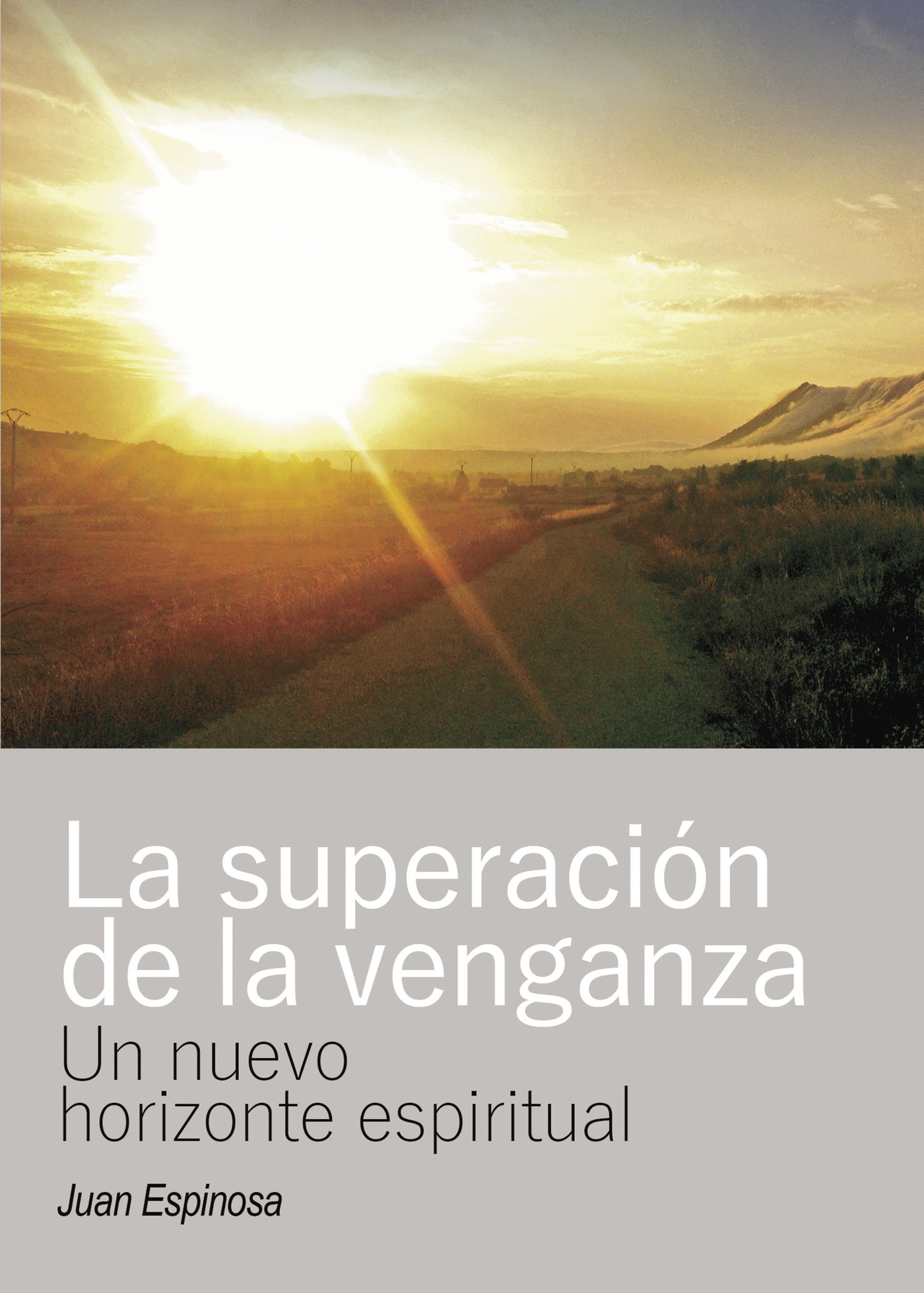 Portada de La superación de la venganza