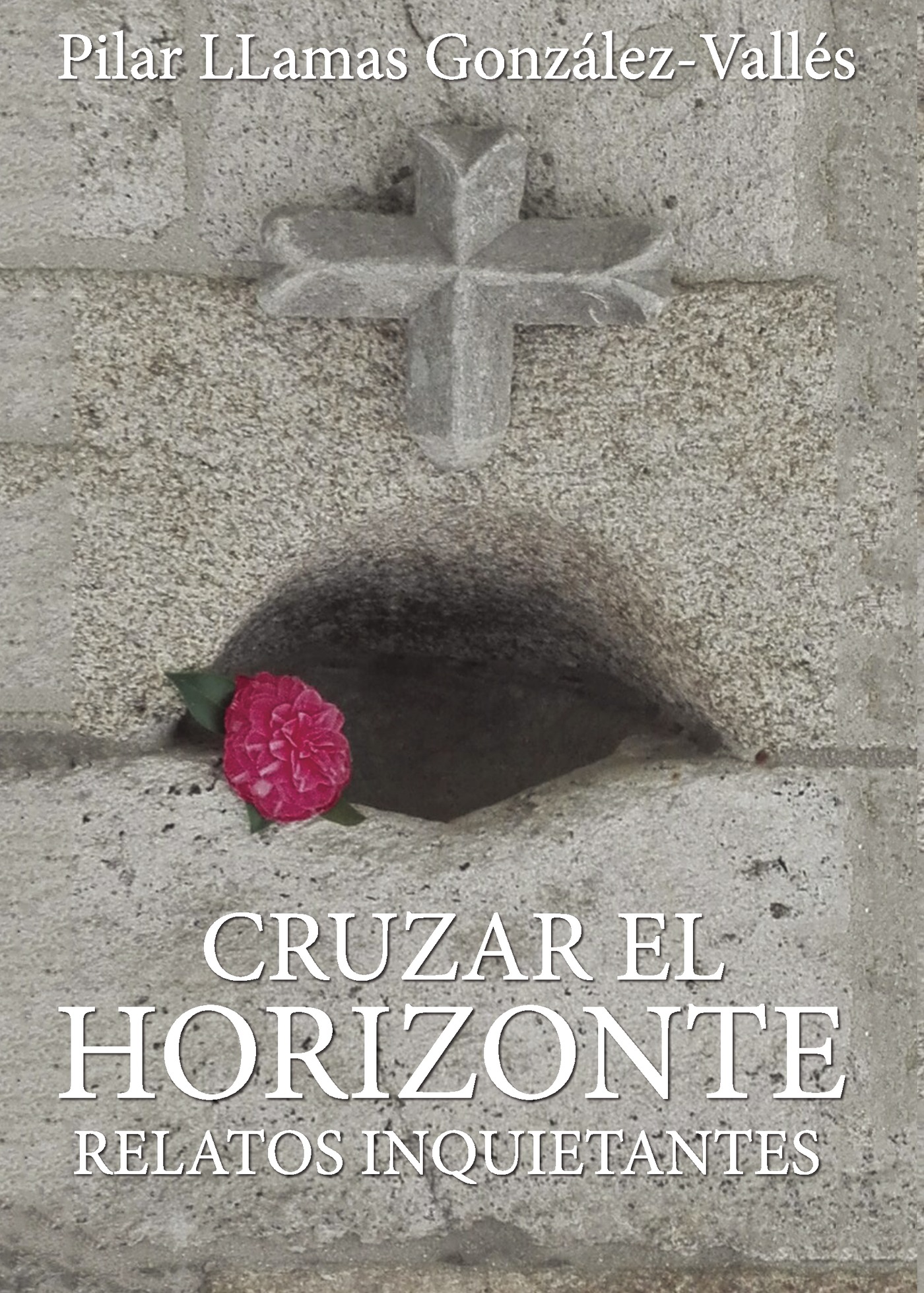Portada de Cruzar el Horizonte
