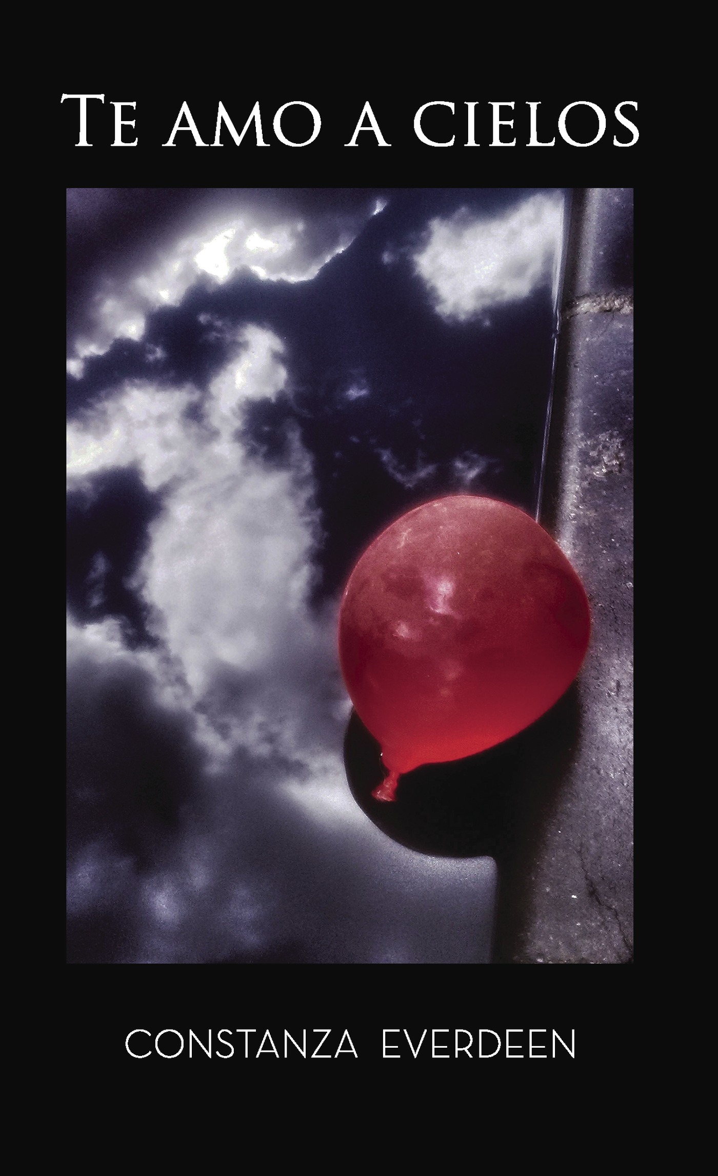Portada de Te amo a cielos