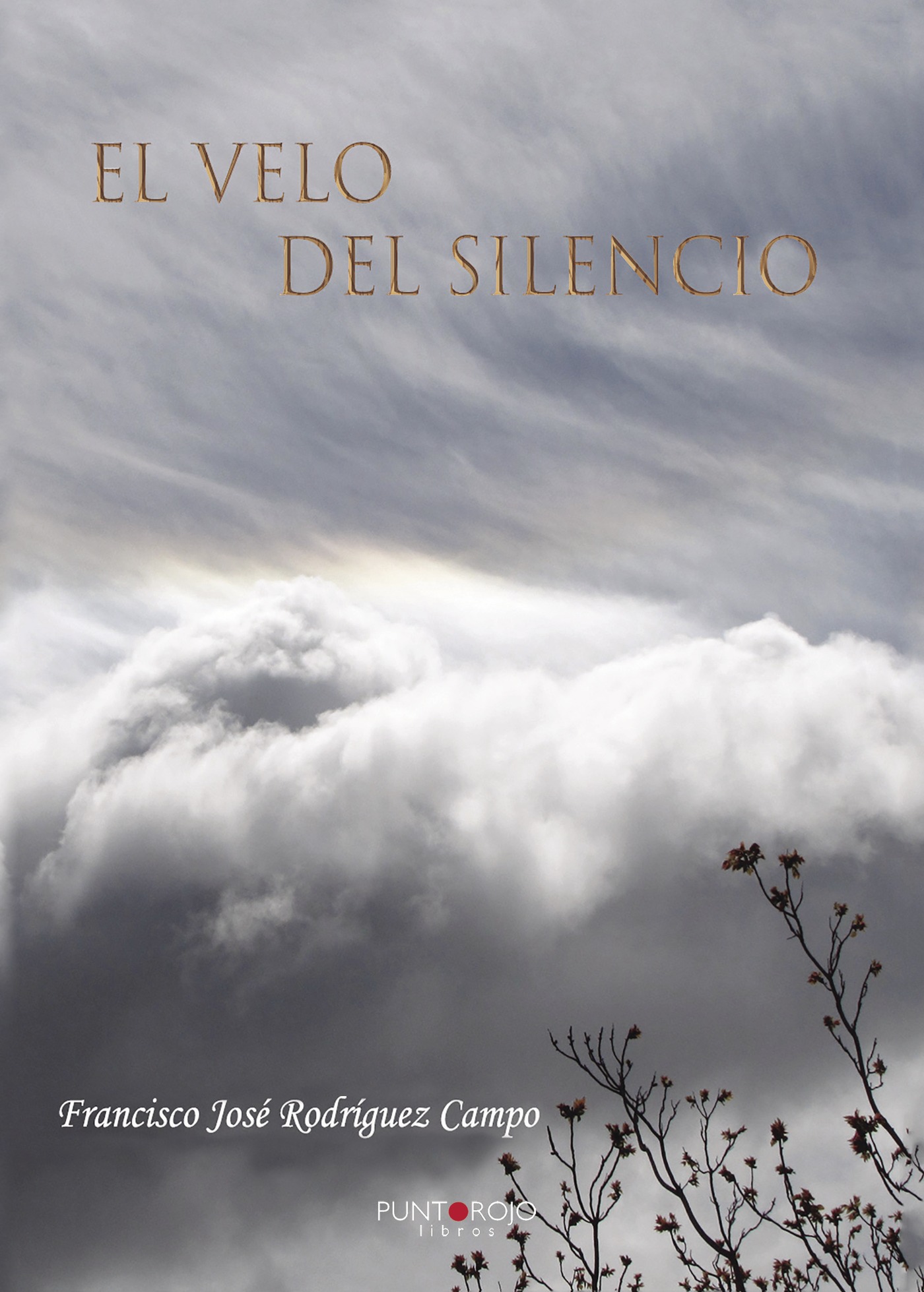 Portada de El velo del silencio