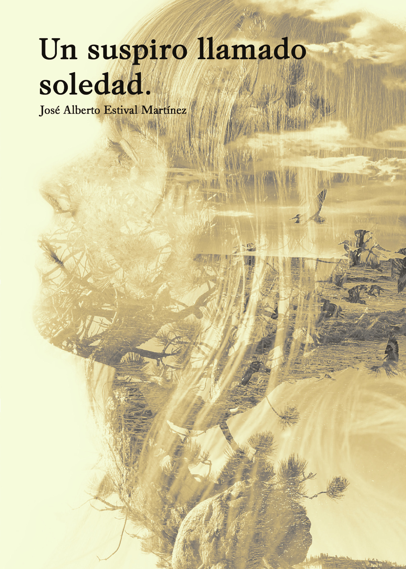 Portada de Un suspiro llamado soledad
