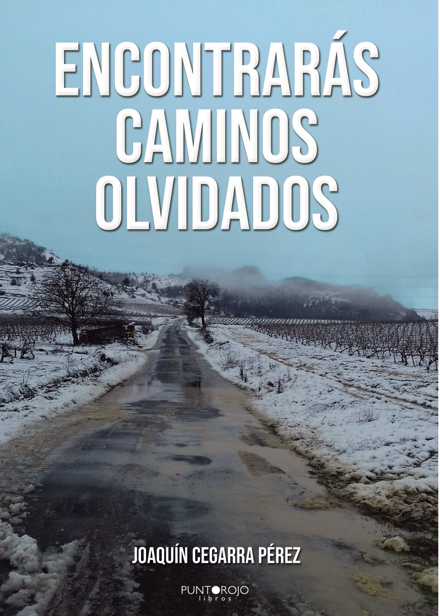 Portada de Encontrarás caminos olvidados