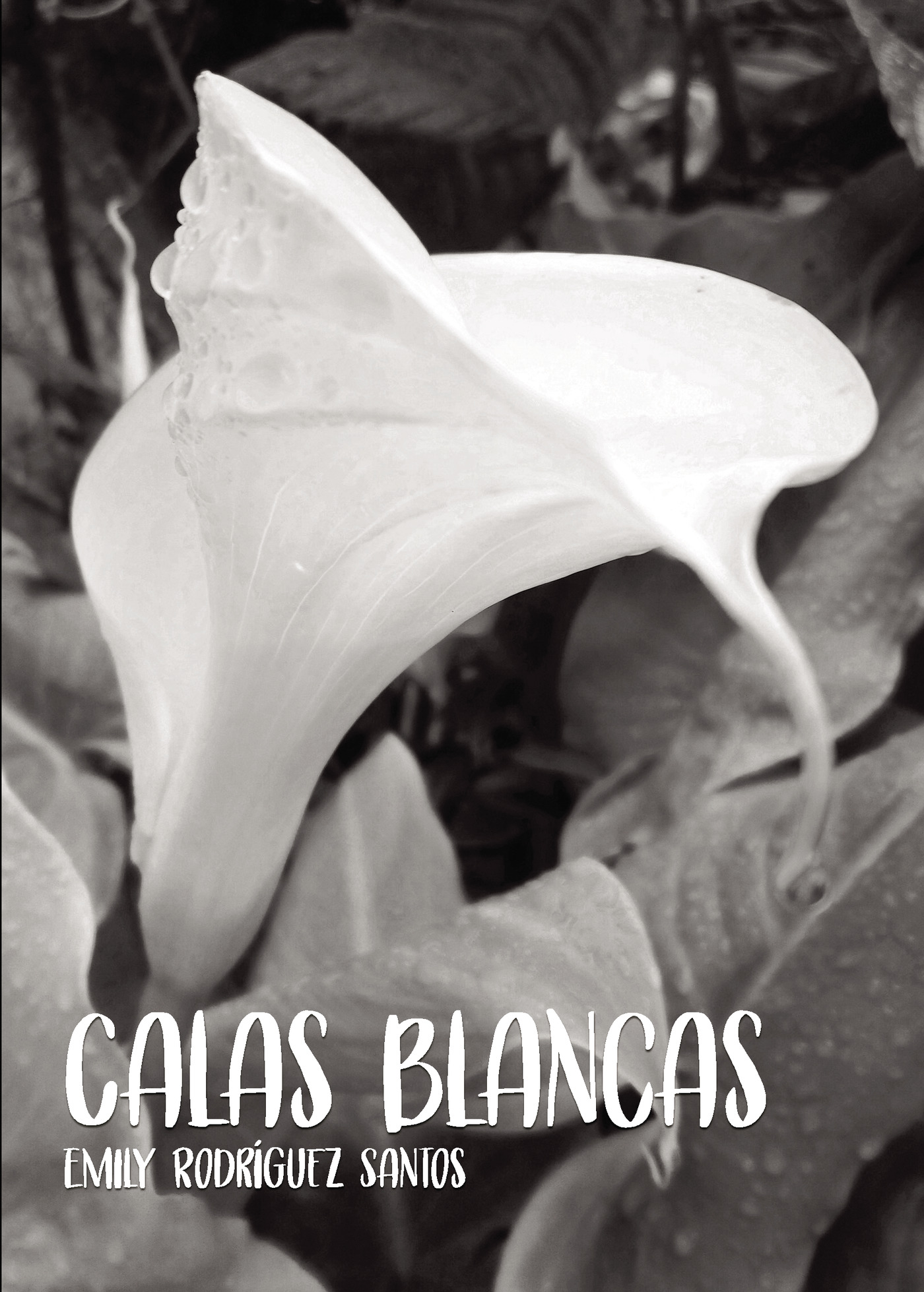 Portada de Calas Blancas
