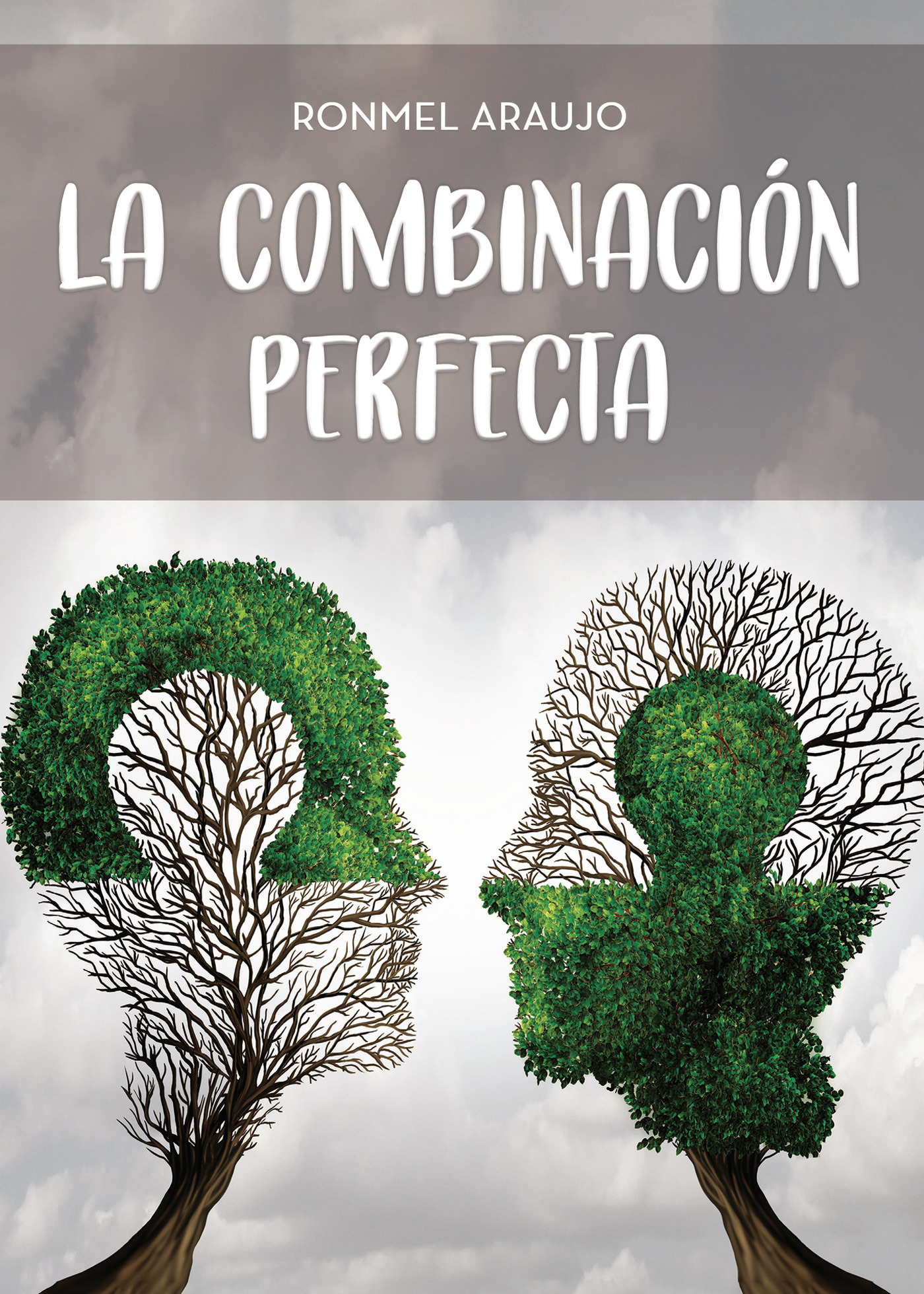 Portada de La combinación perfecta