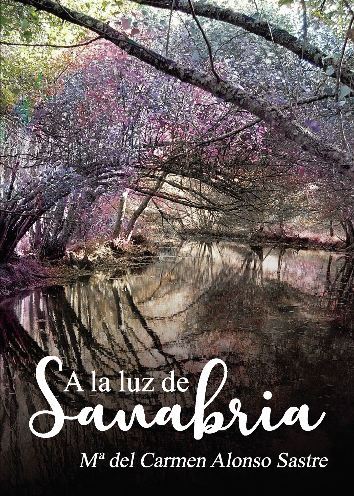 Portada de A la luz de Sanabria · Mª del Carmen Alonso Sastre