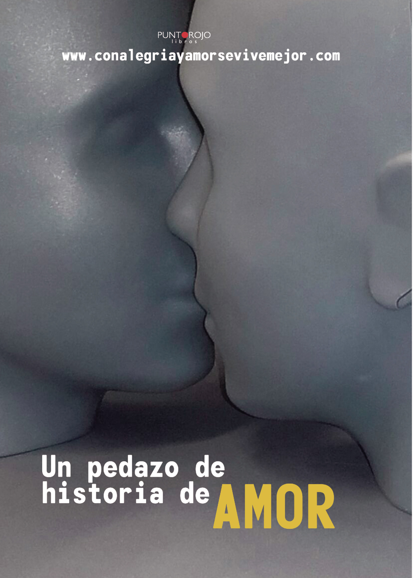 Portada de Un pedazo de historia de amor · Ricardo Vila Tamarit