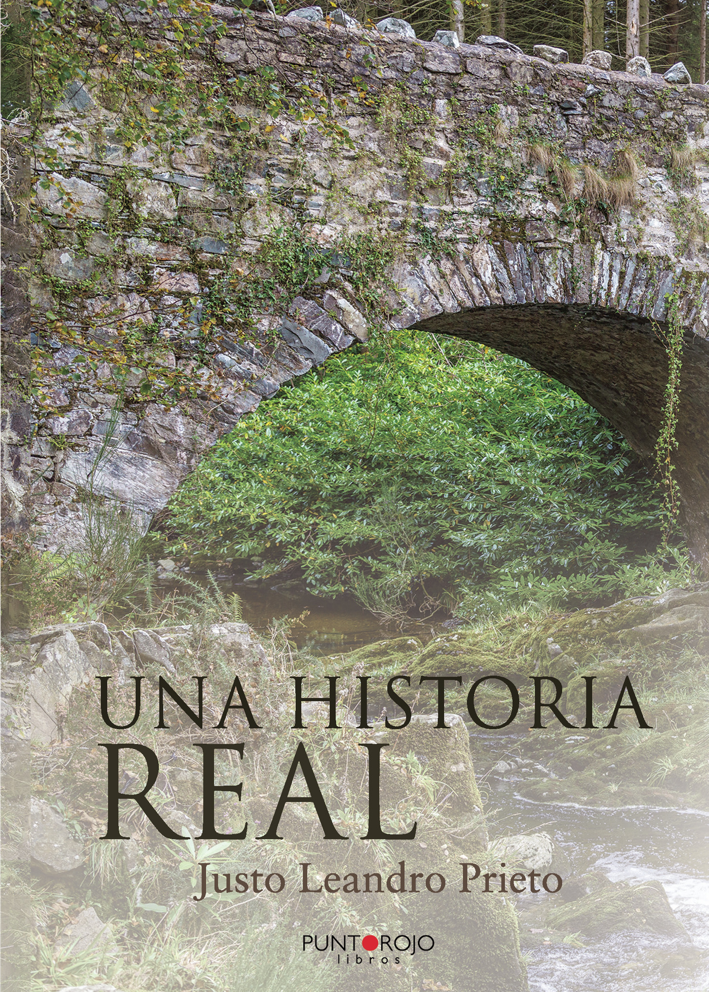 Portada de Una historia real