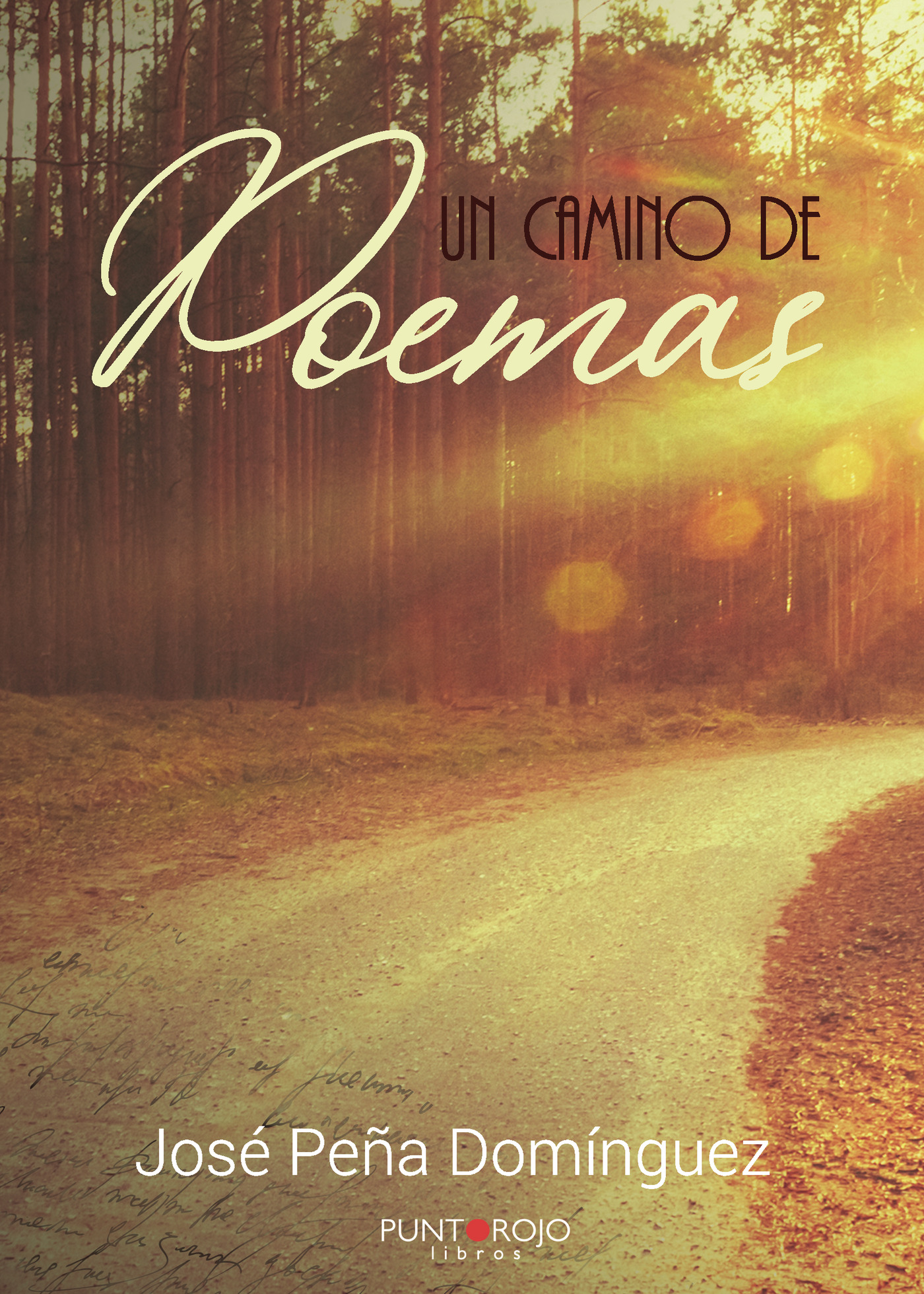 Portada de Un camino de poemas