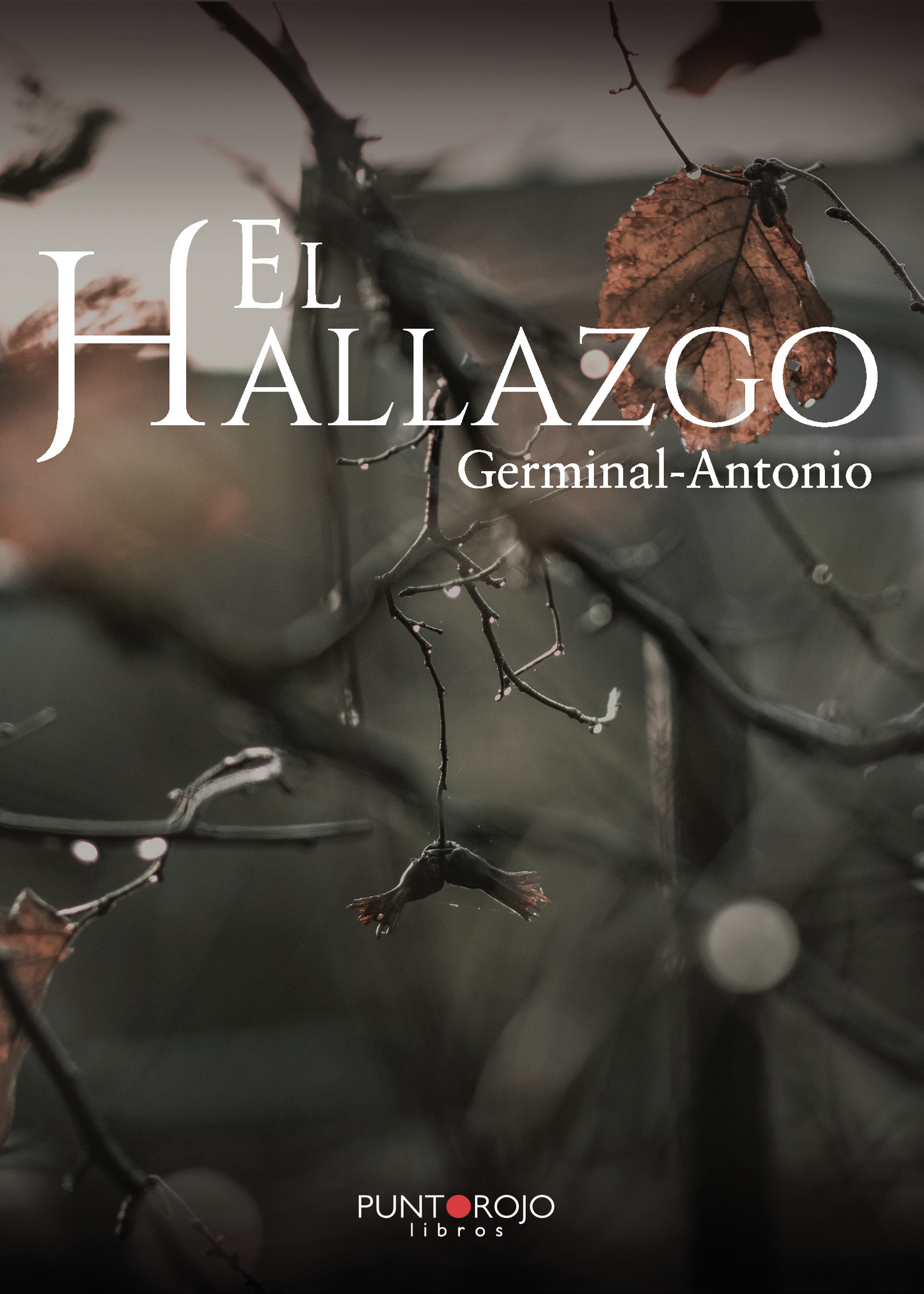 Portada de El hallazgo