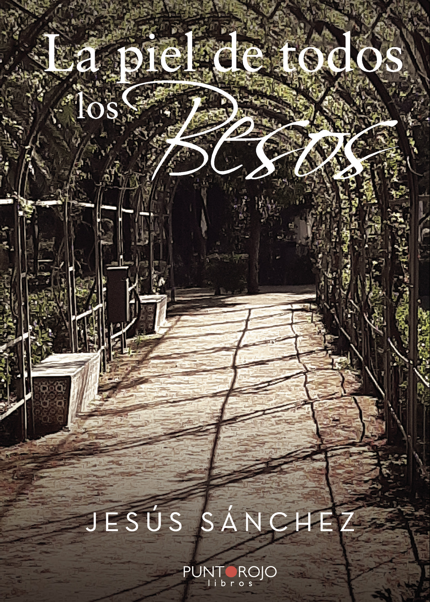 Portada de La piel de todos los besos