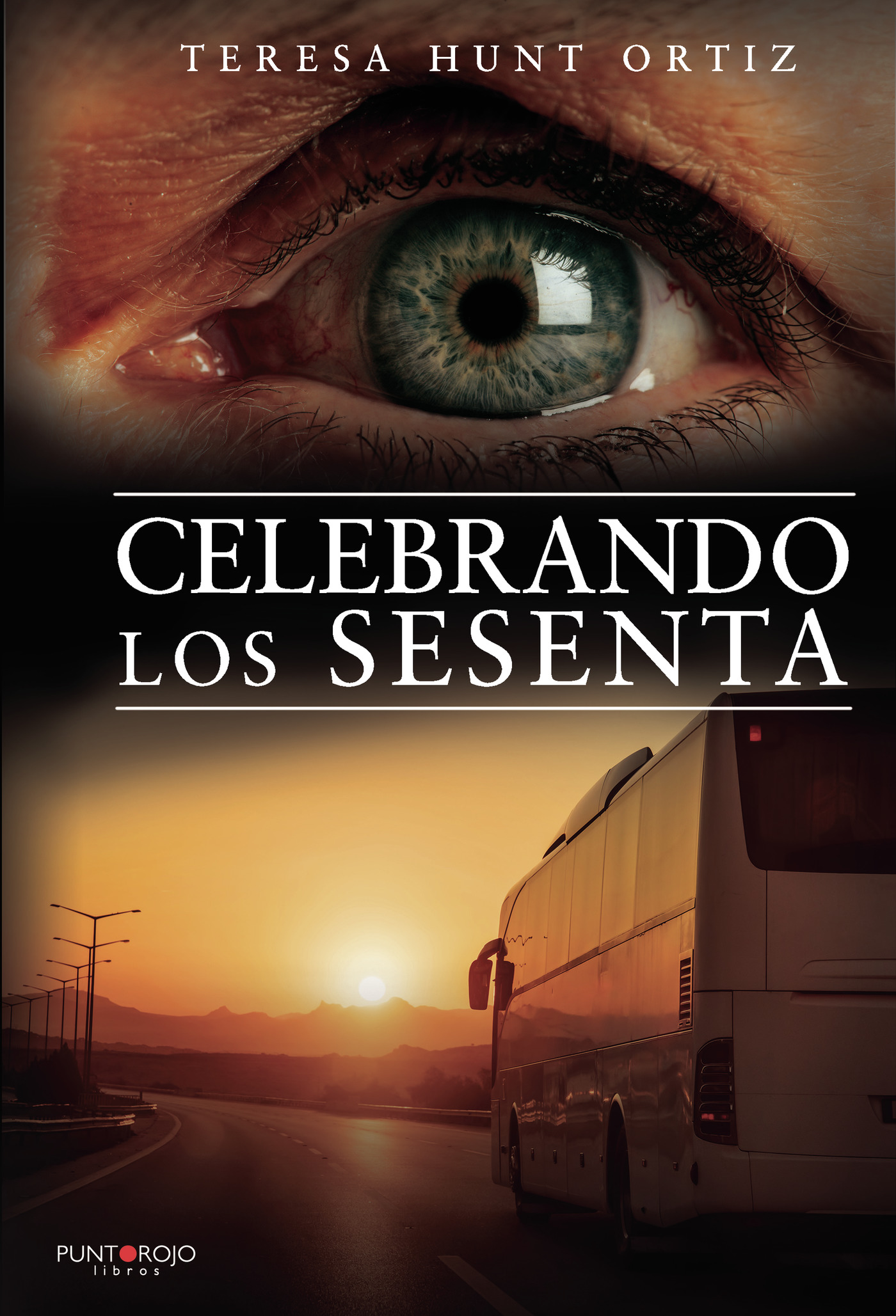 Portada de Celebrando los sesenta