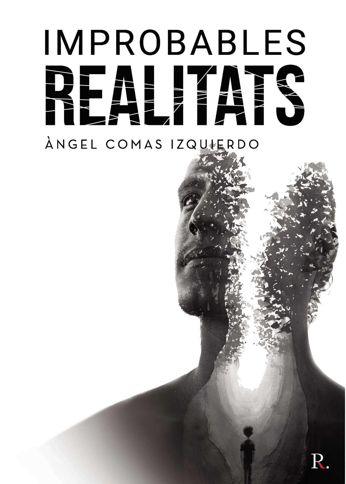Portada de Improbables realitats