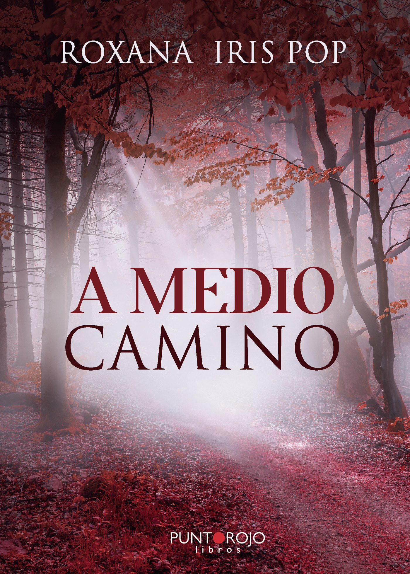 Portada de A medio camino