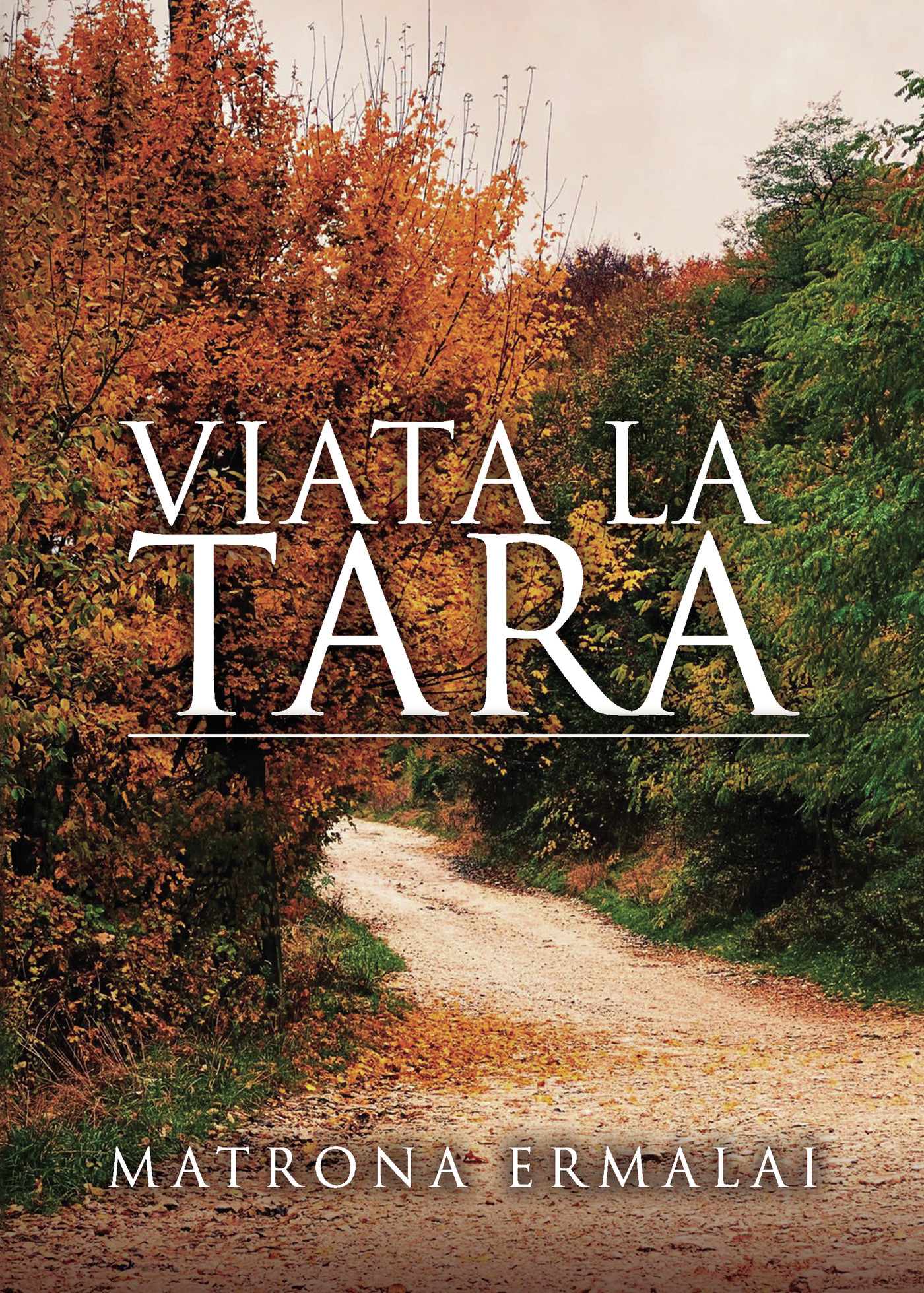 Portada de Viaa la arÉ