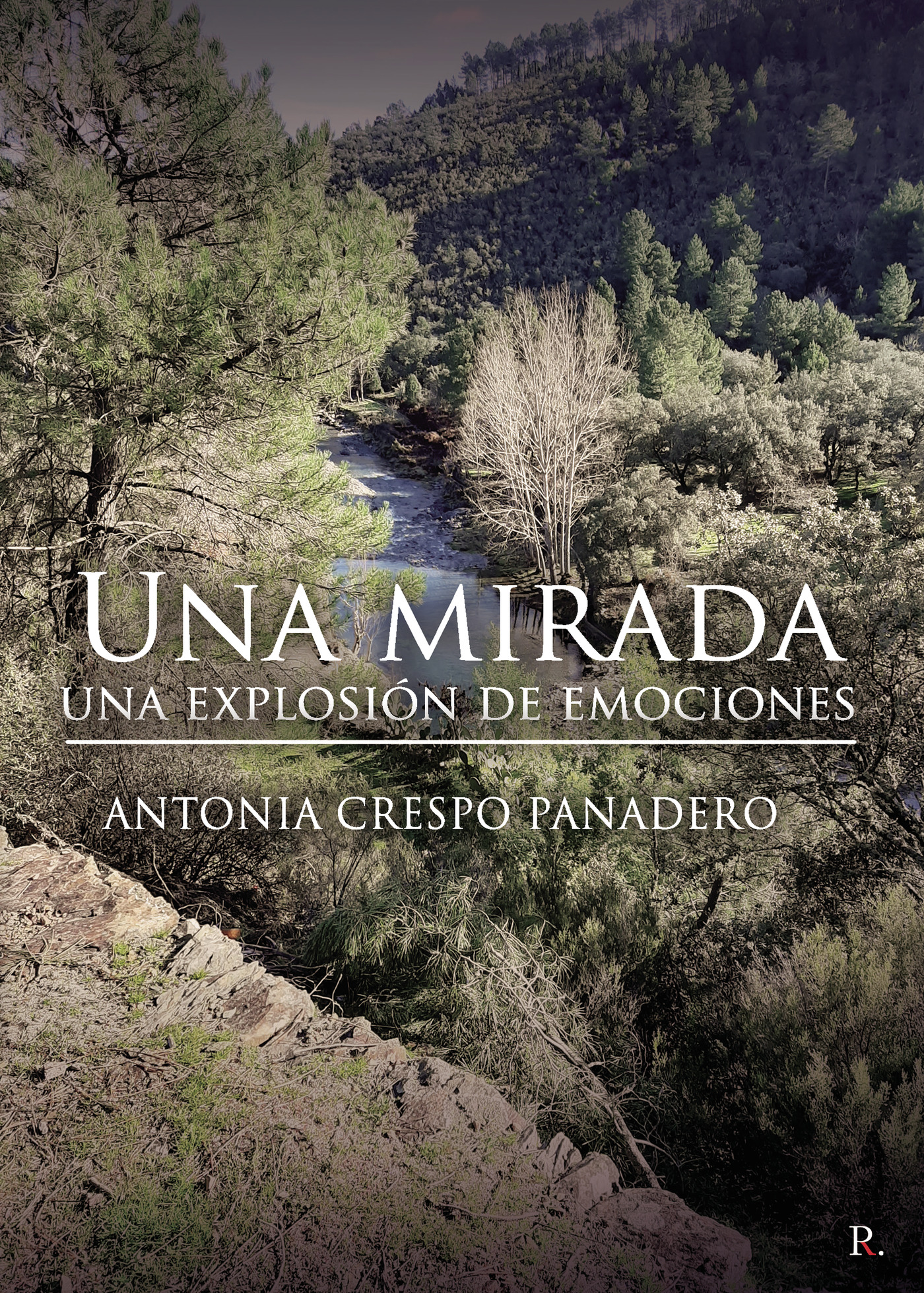 Portada de Una mirada, una explosión de emociones