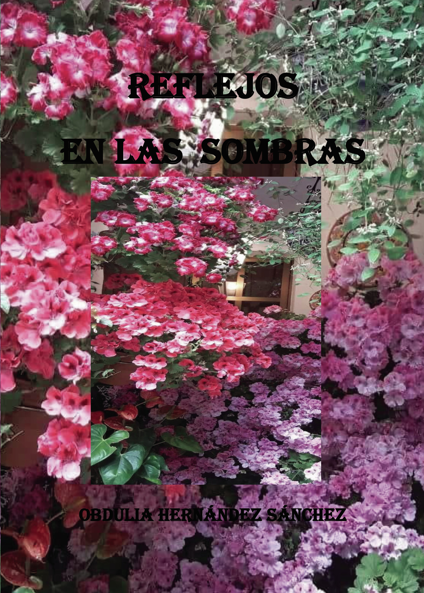 Portada de Reflejos en las sombras
