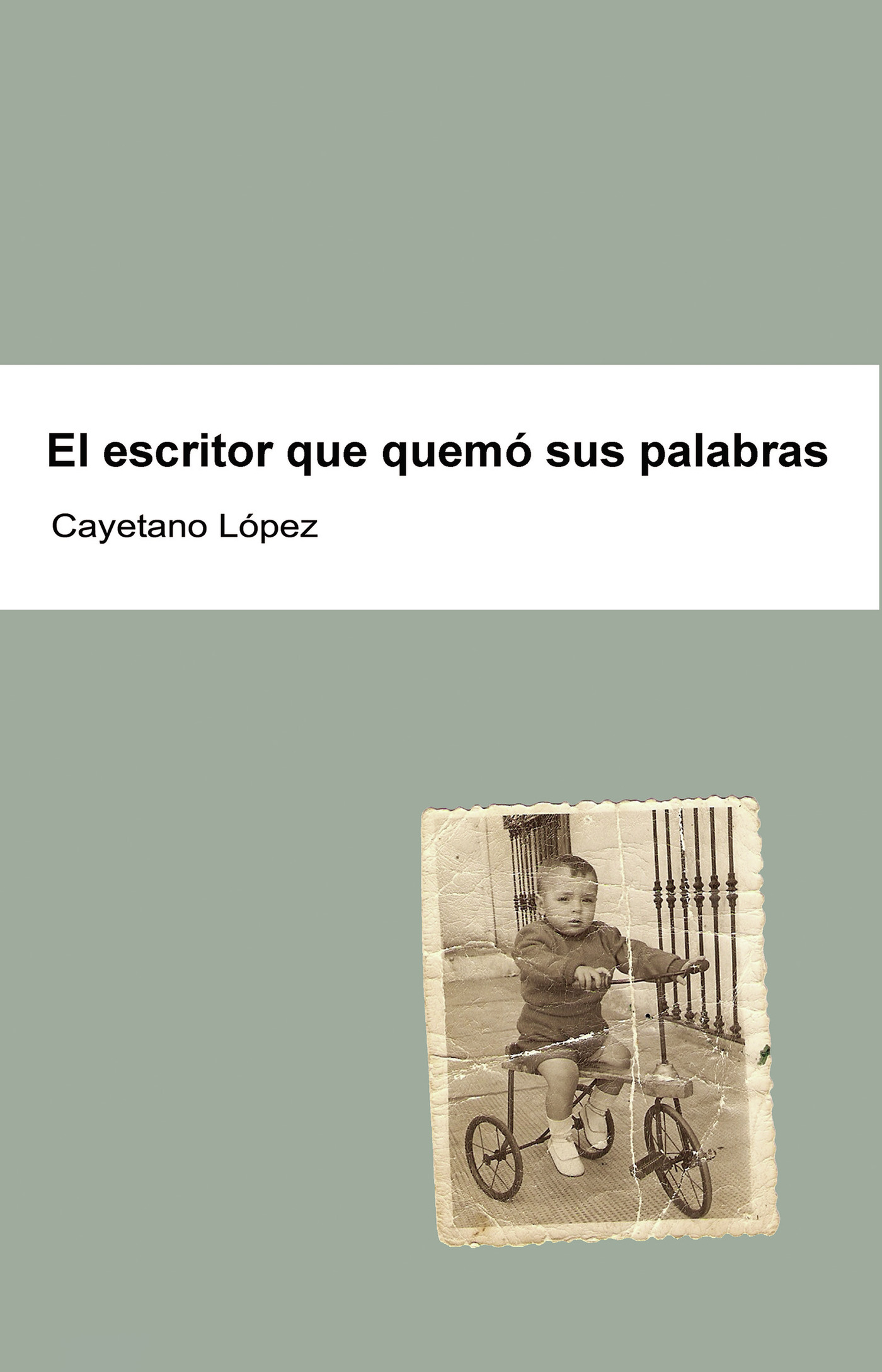 Portada de El escritor que quemó sus palabras