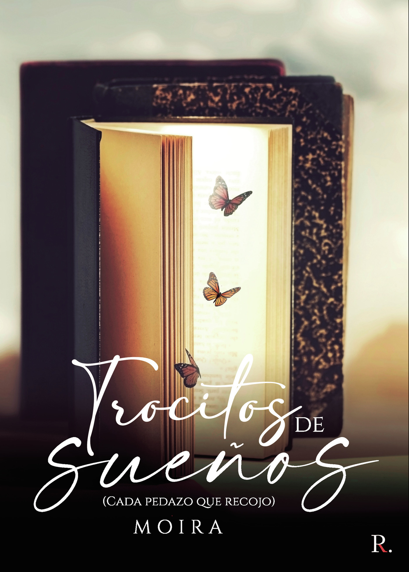Portada de Trocitos de sueños