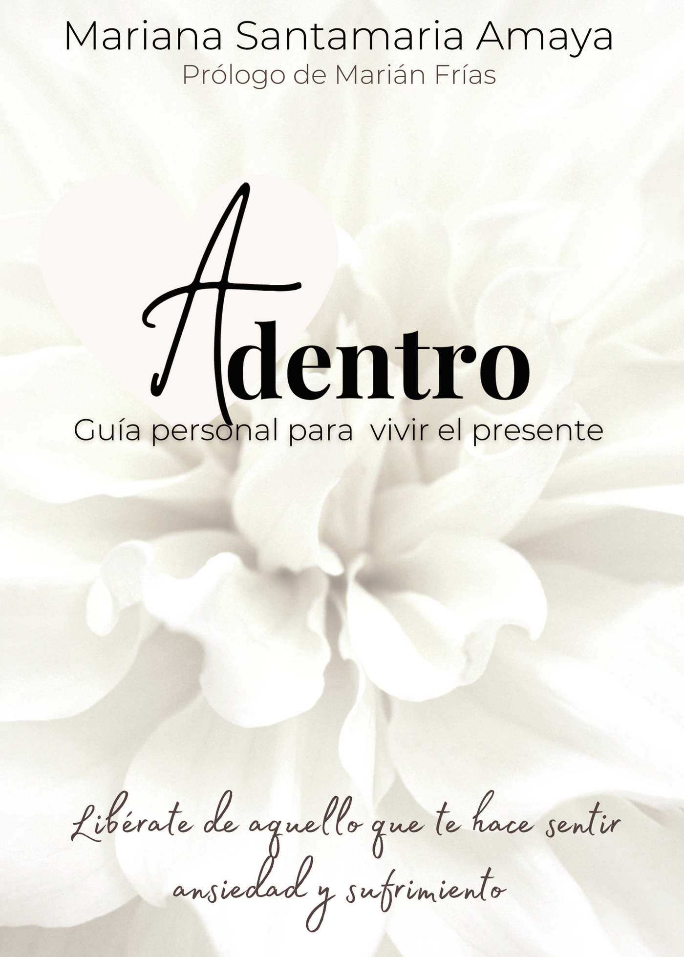 Portada de Adentro