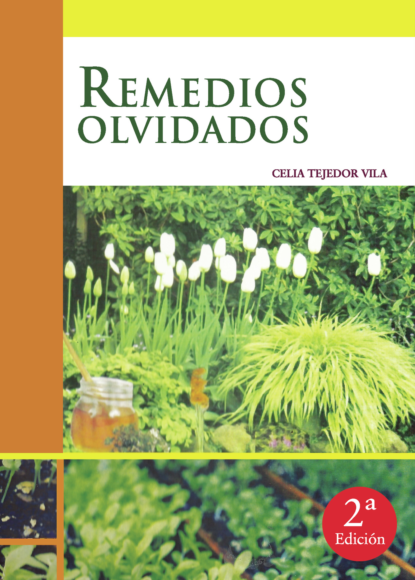 Portada de Remedios olvidados.