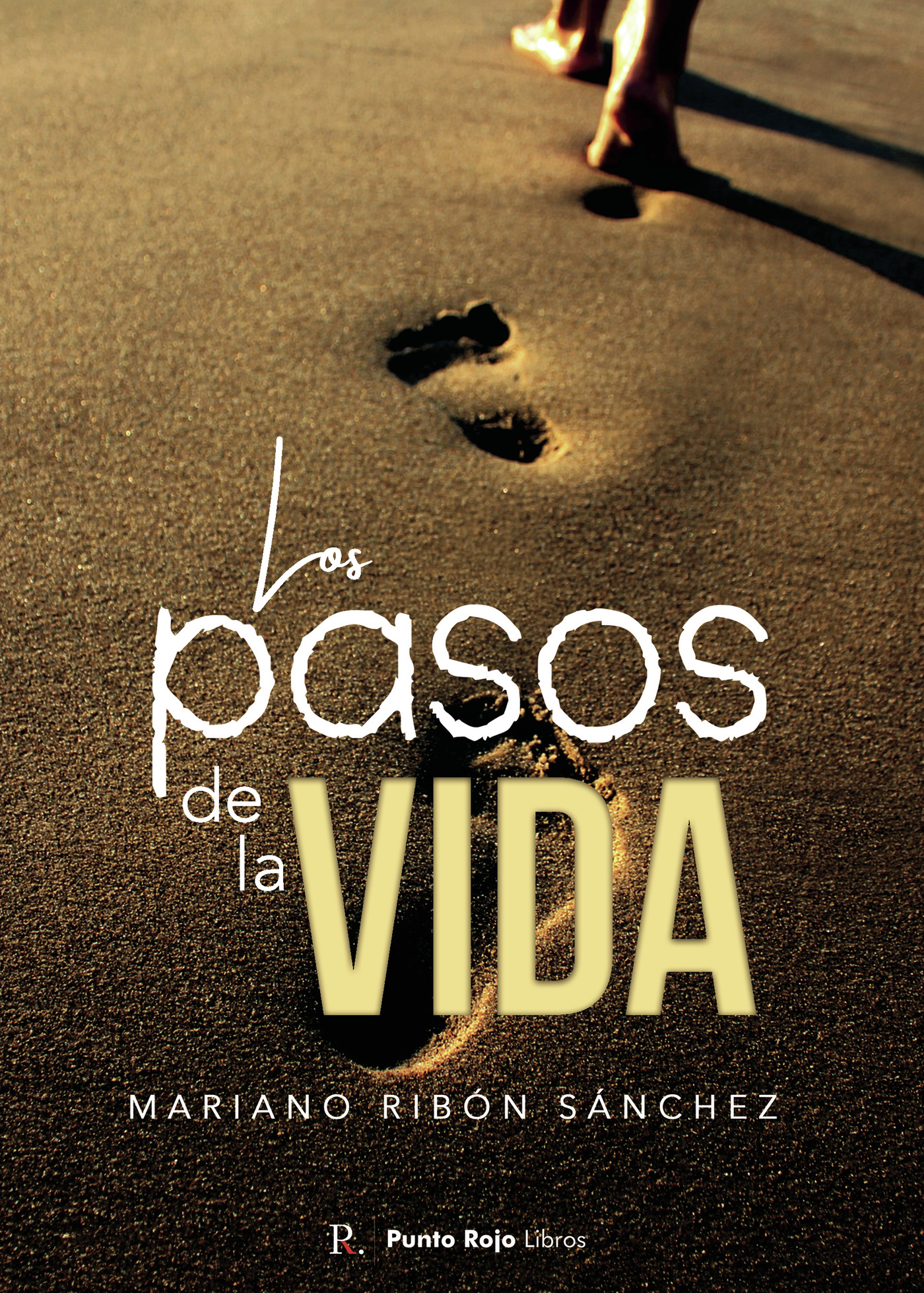 Portada de Los pasos de la vida
